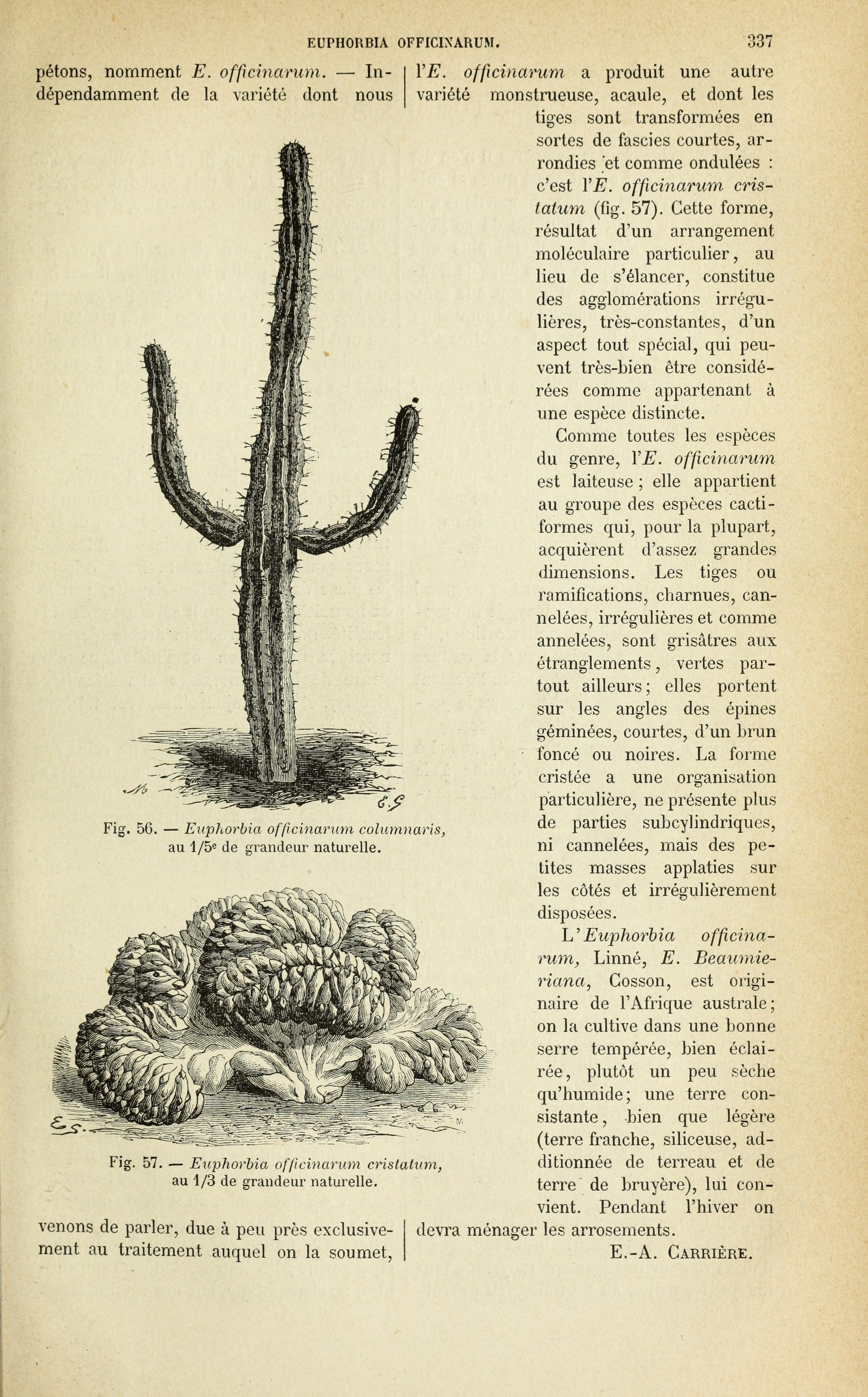 no full size  illustration available (3a)