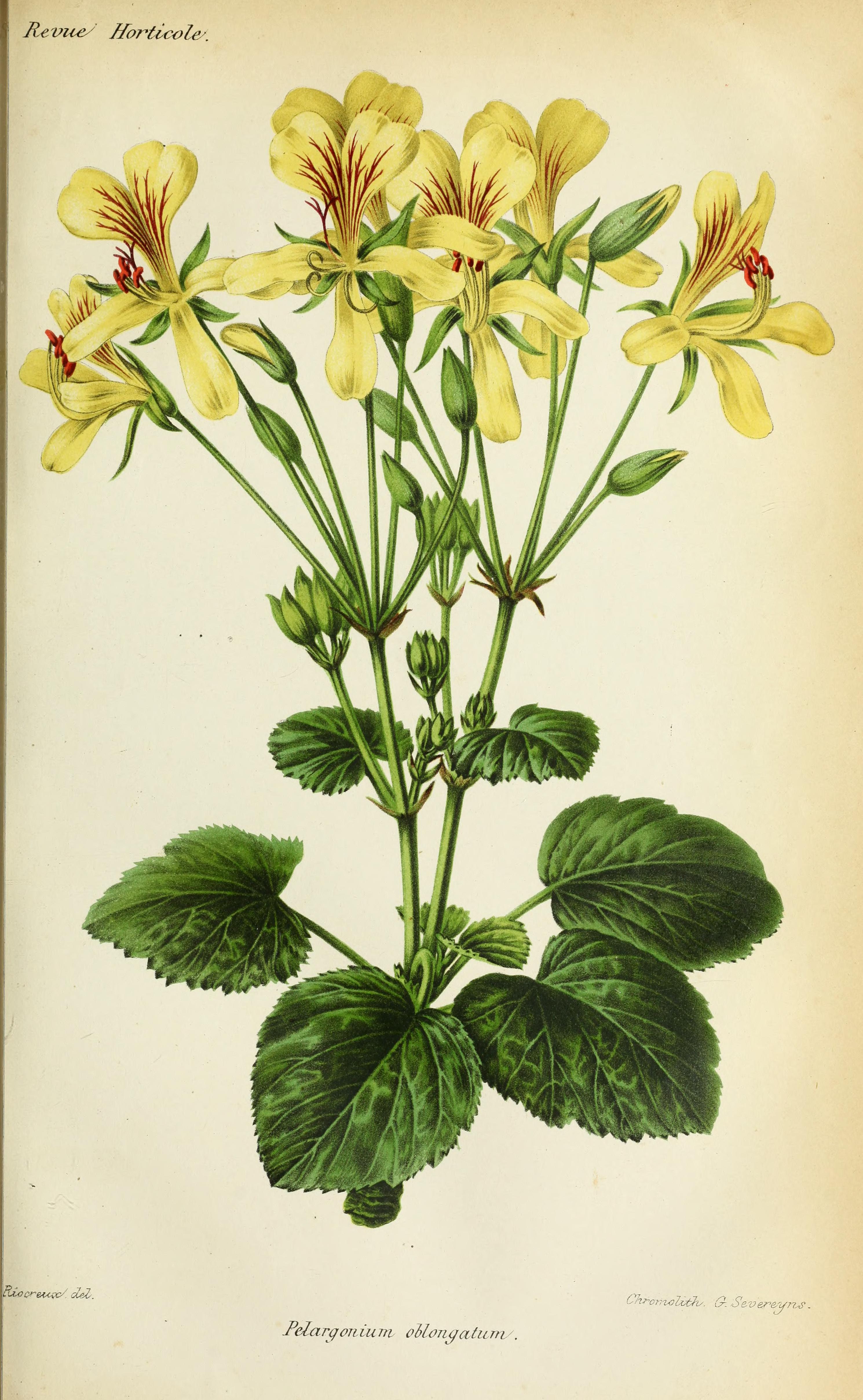 no full size  illustration available (3a)