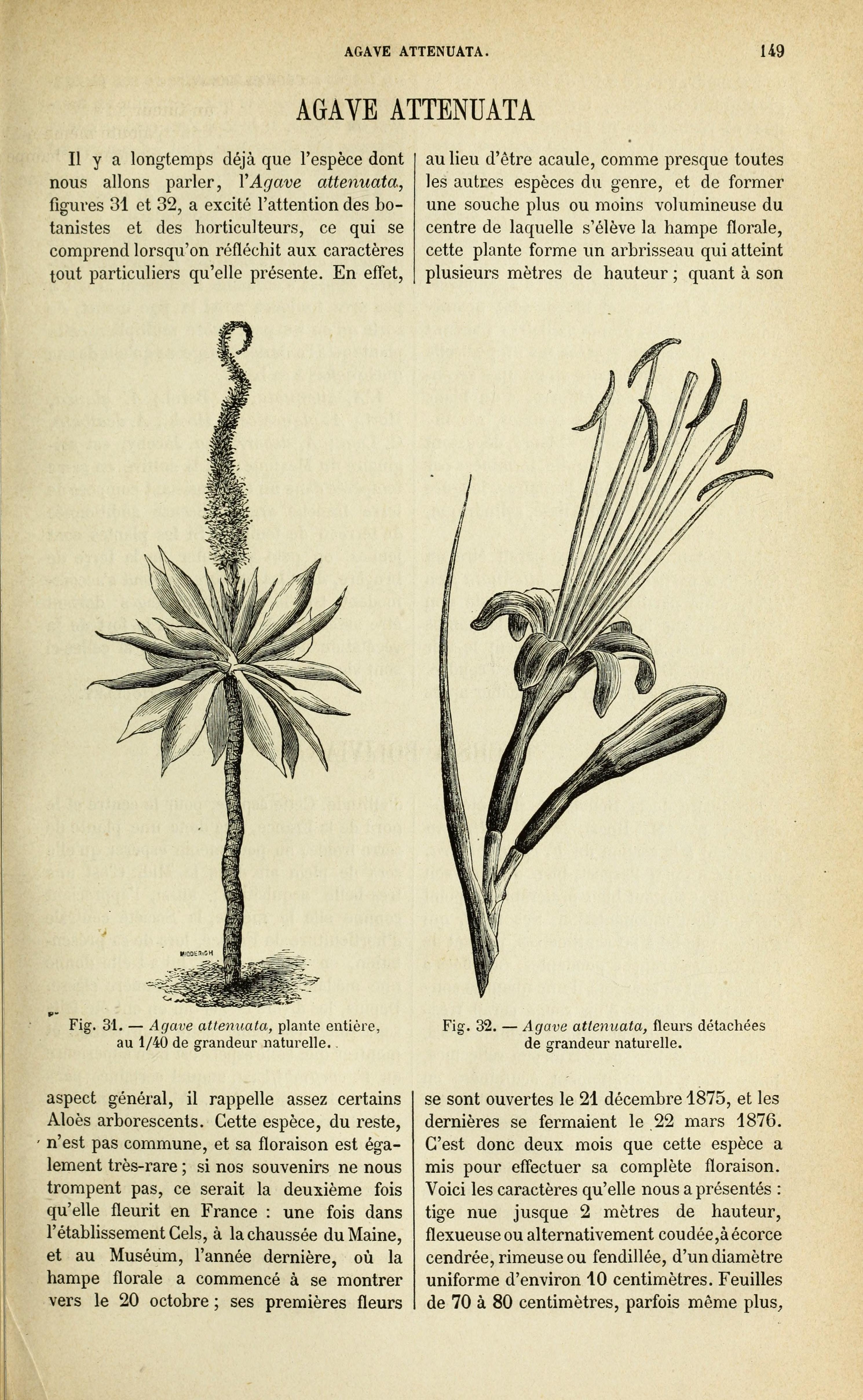 no full size  illustration available (3a)