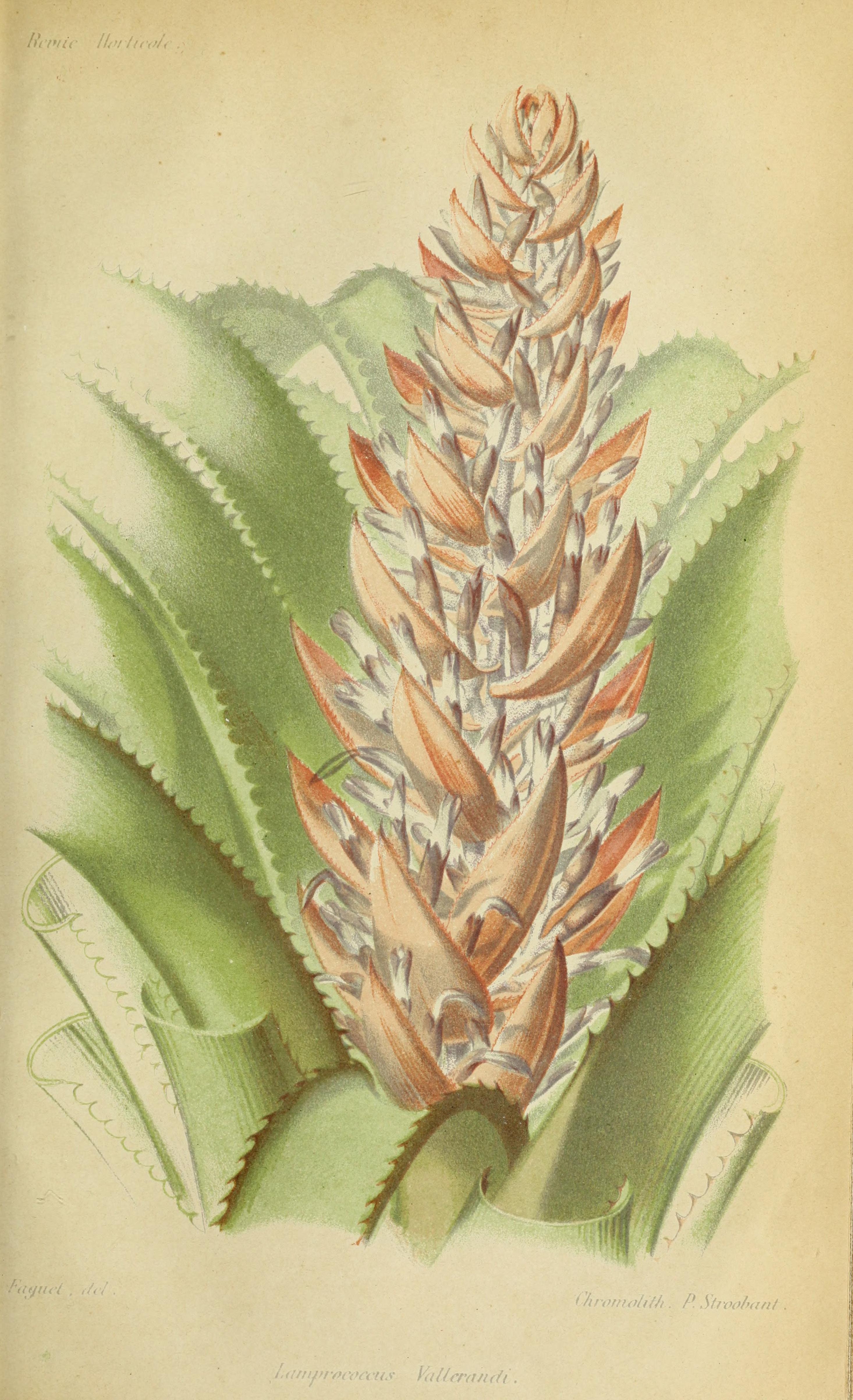 no full size  illustration available (3a)