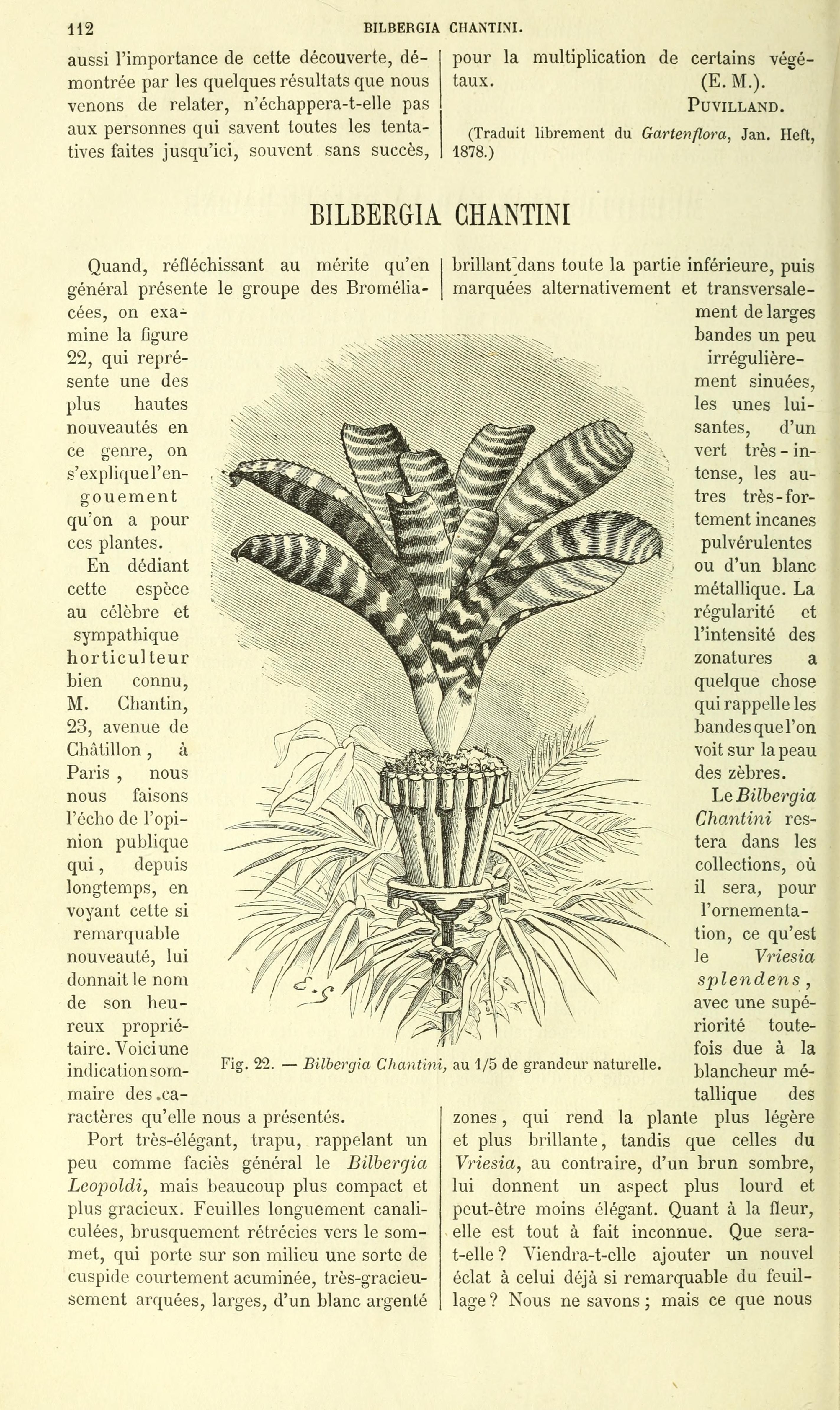 no full size  illustration available (3a)