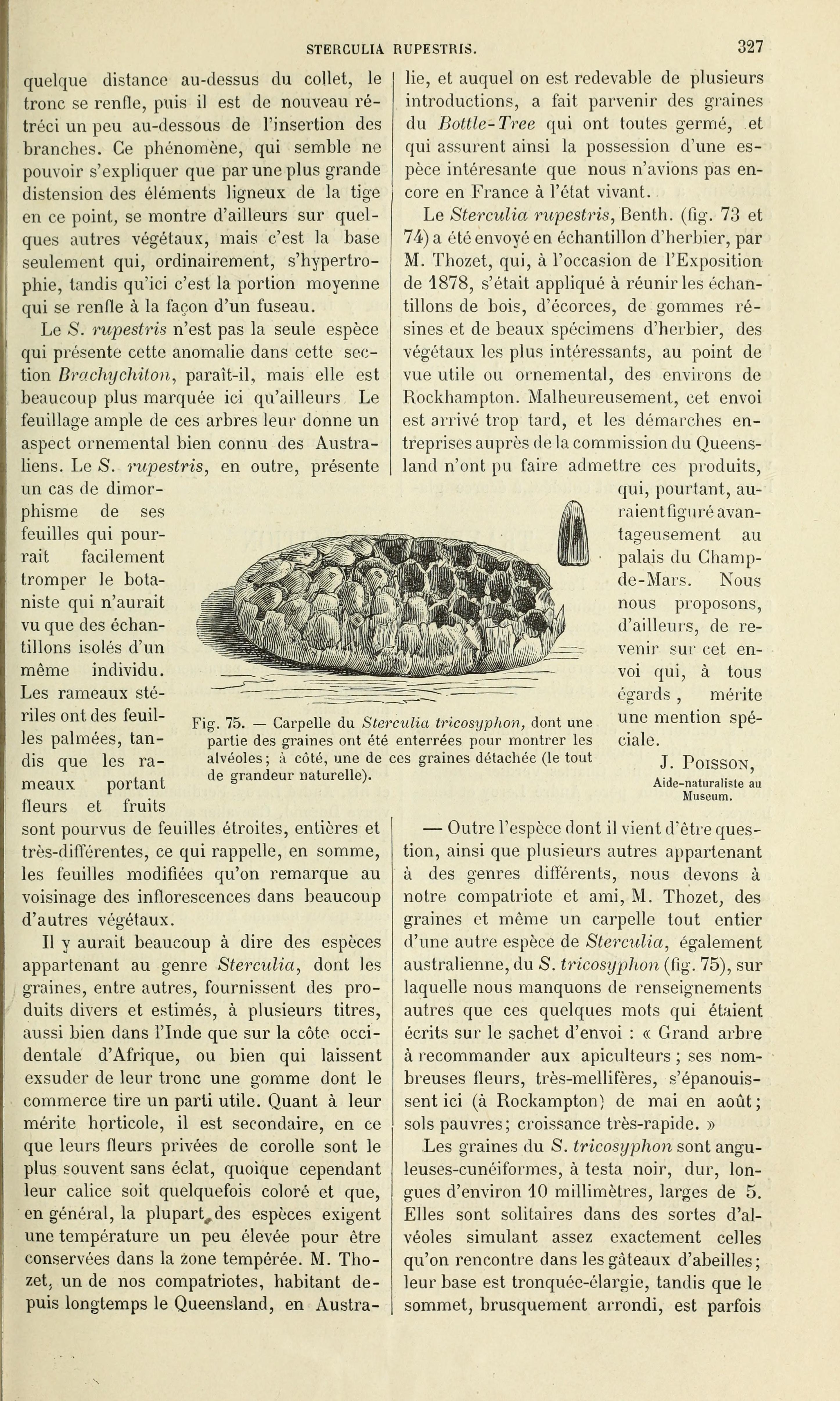 no full size  illustration available (3a)