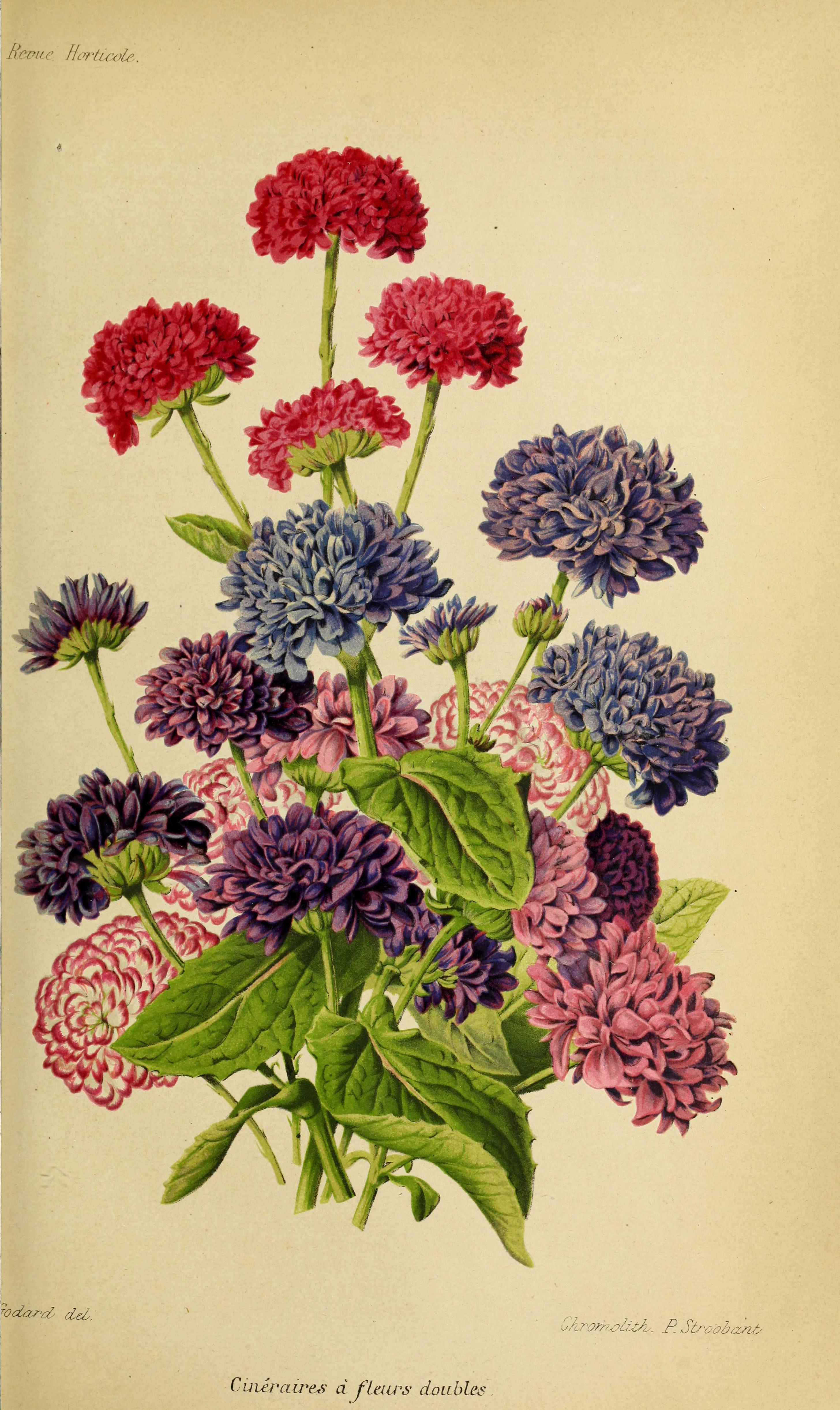 no full size  illustration available (3a)