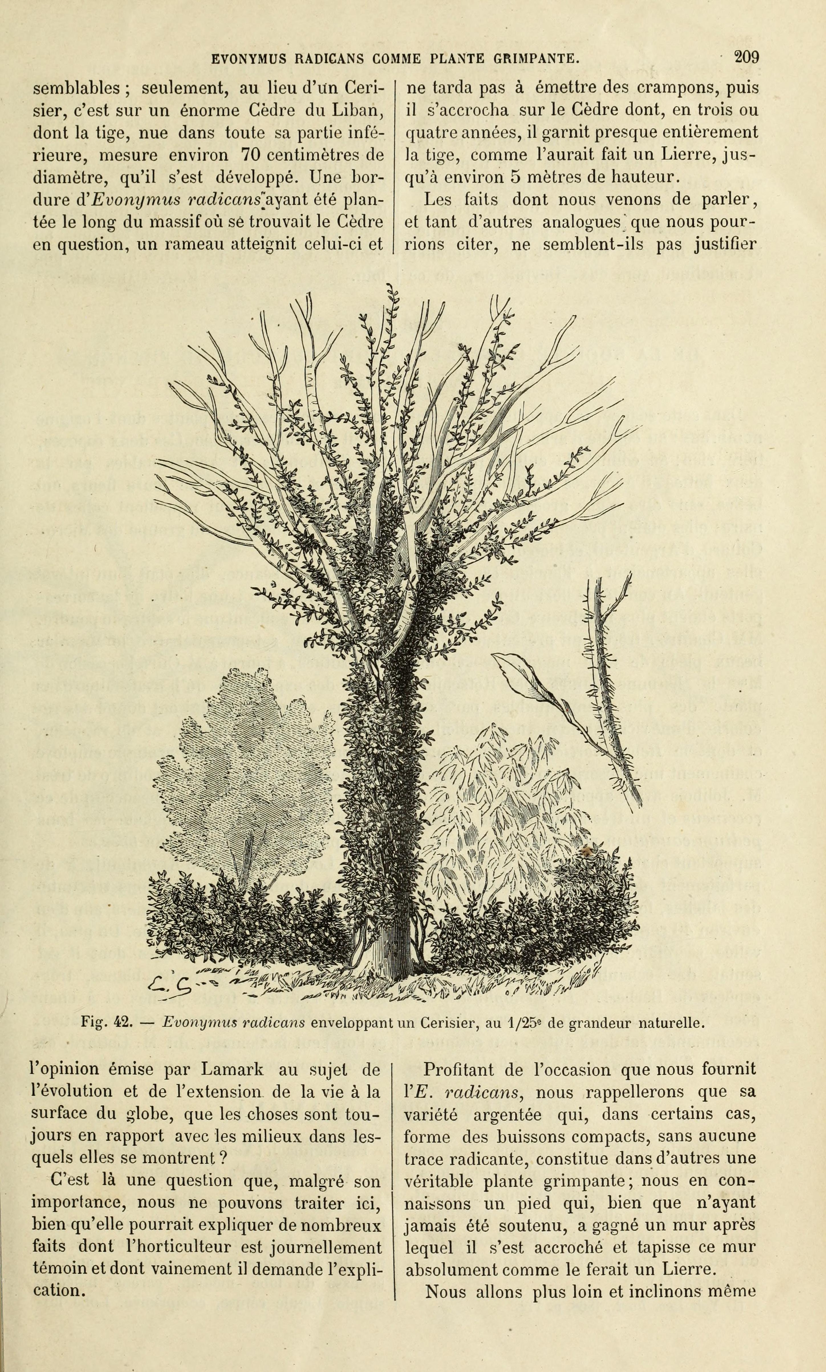 no full size  illustration available (3a)