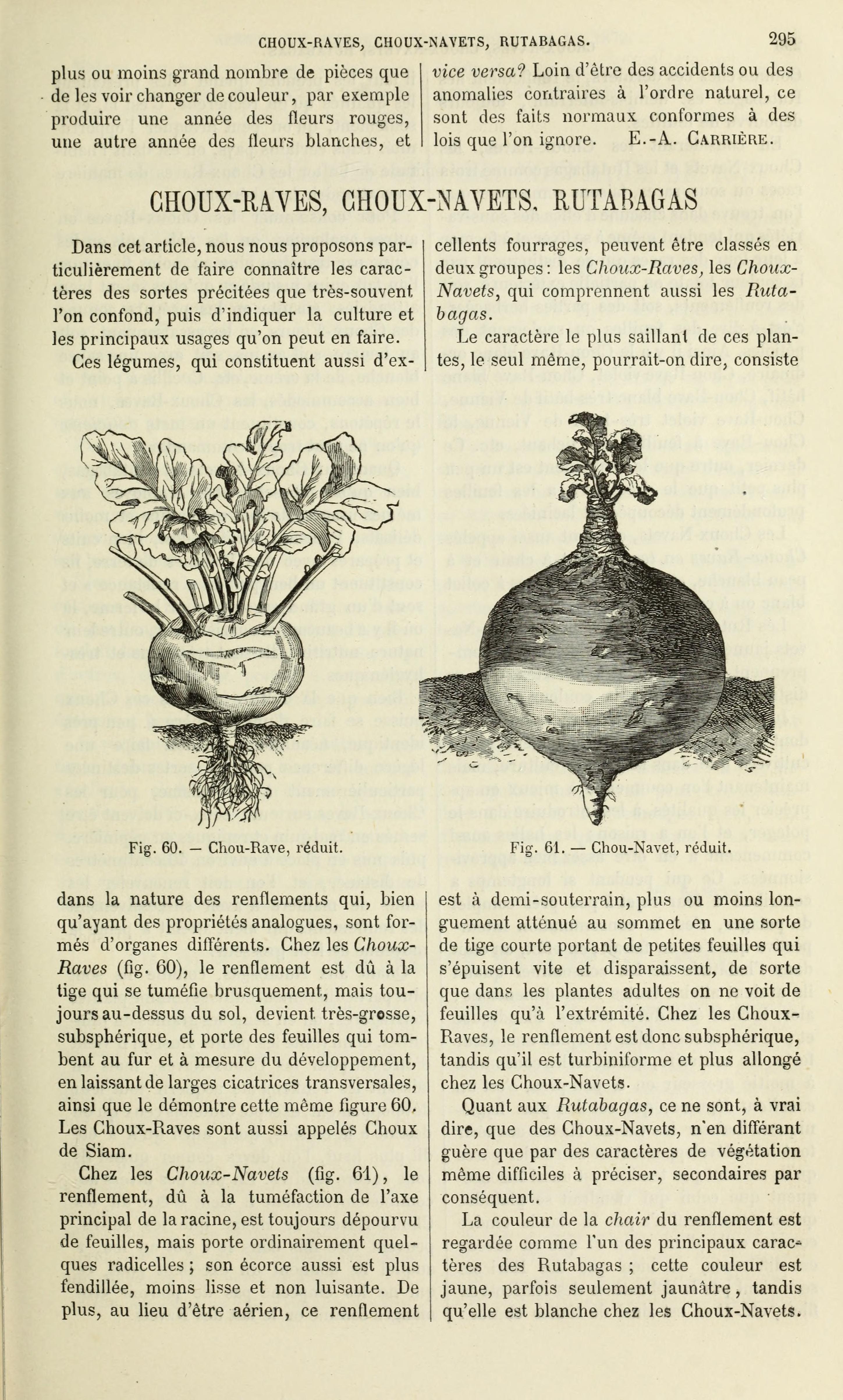 no full size  illustration available (3a)