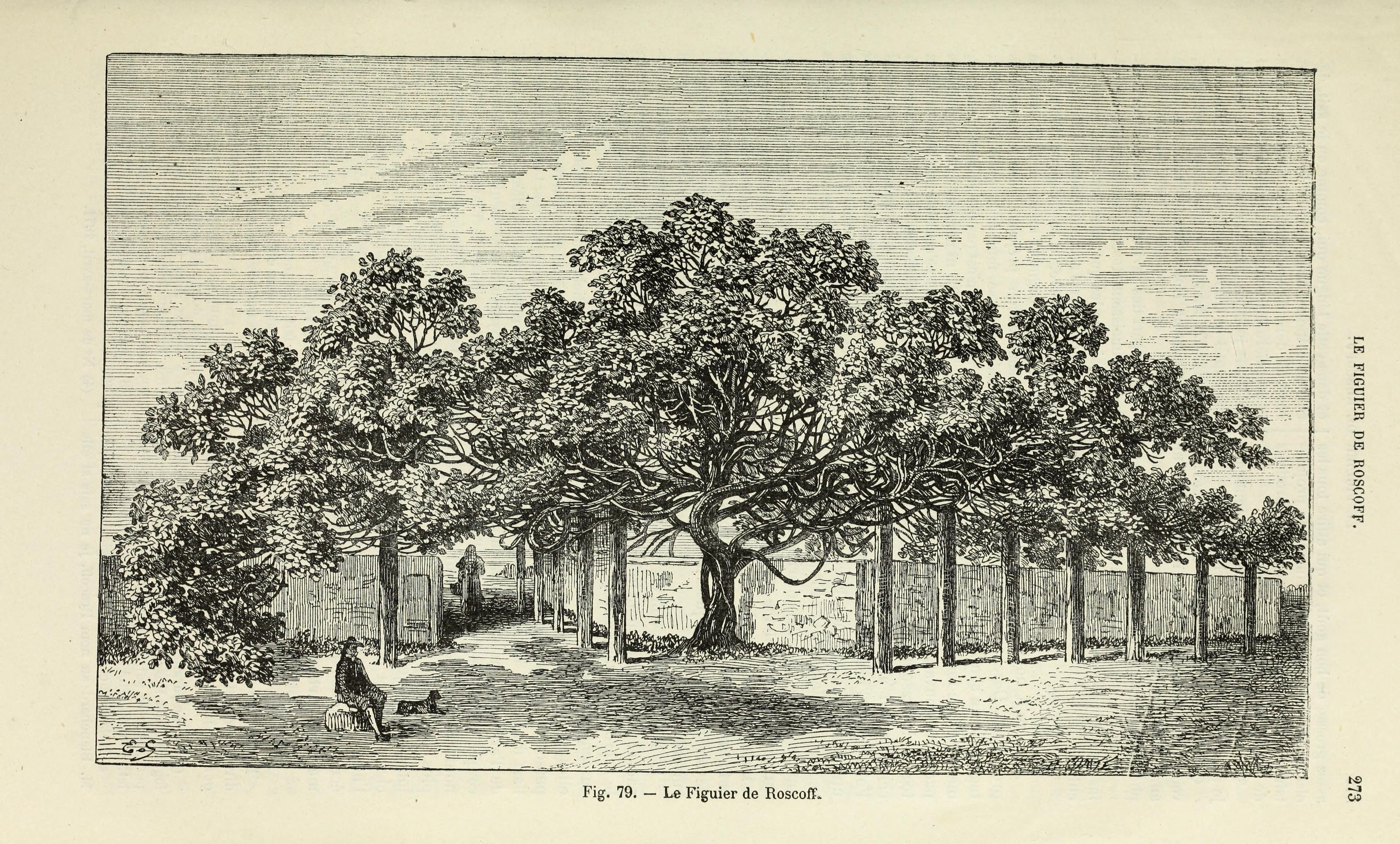 no full size  illustration available (3a)