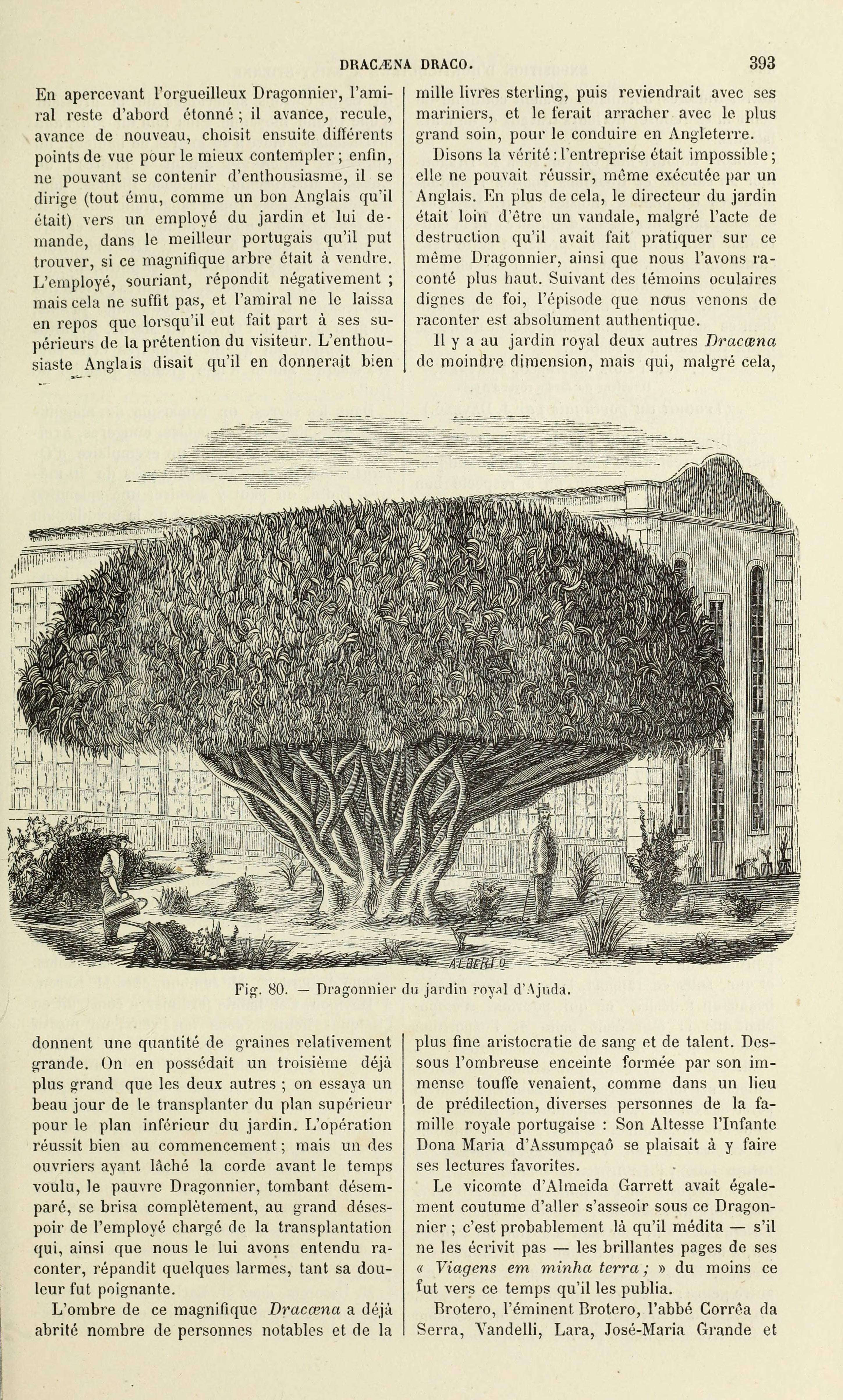 no full size  illustration available (3a)