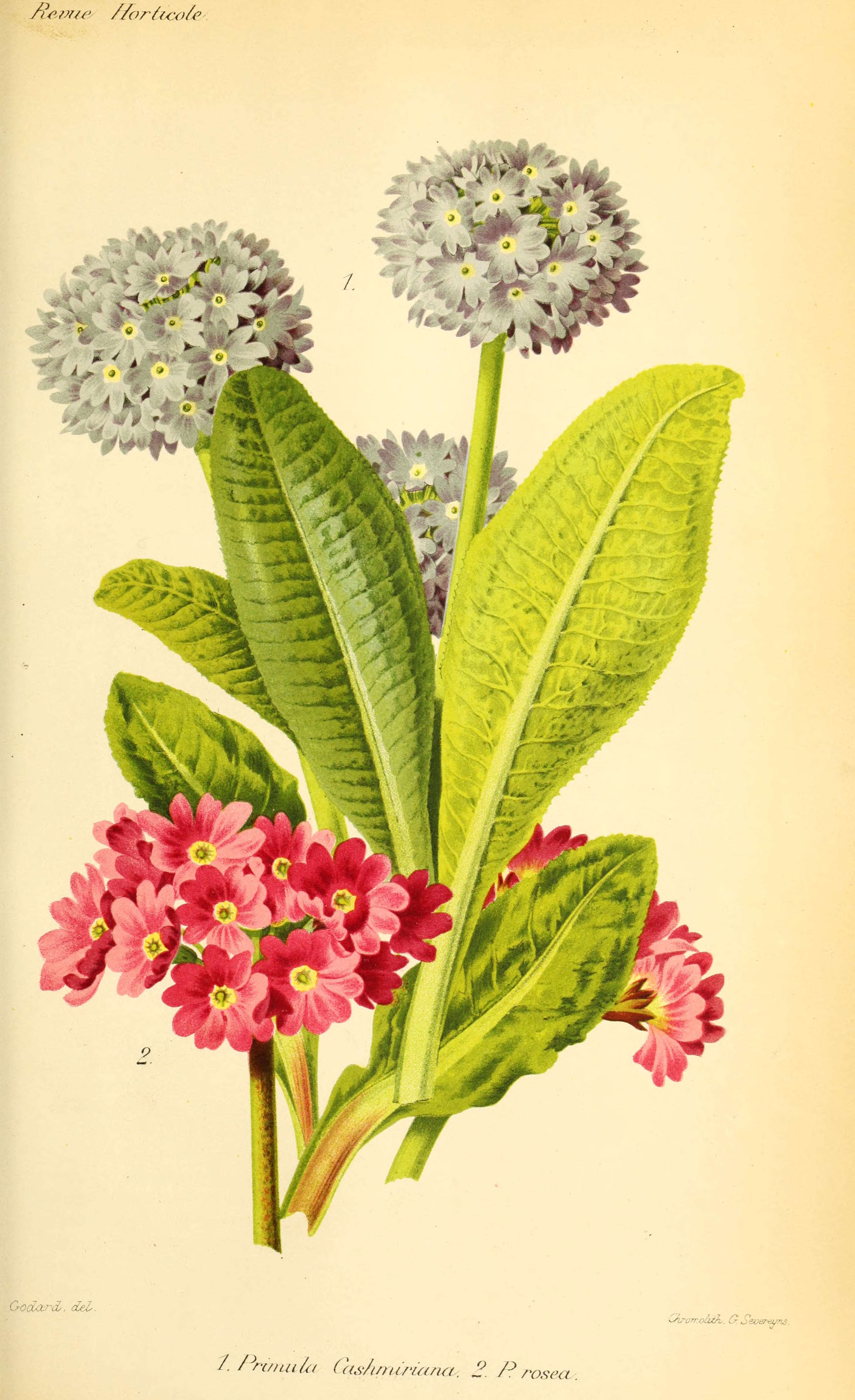 no full size  illustration available (3a)