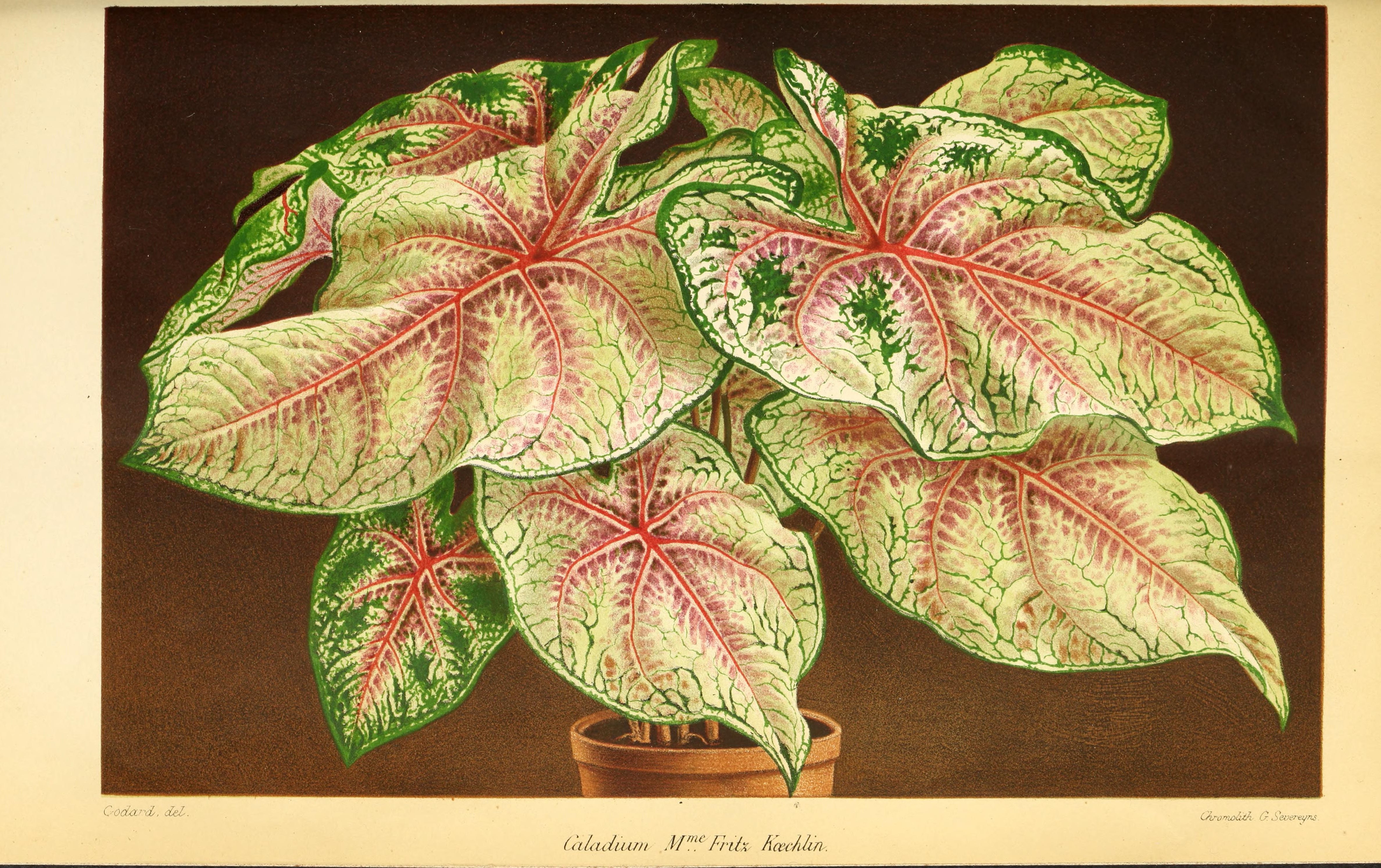 no full size  illustration available (3a)