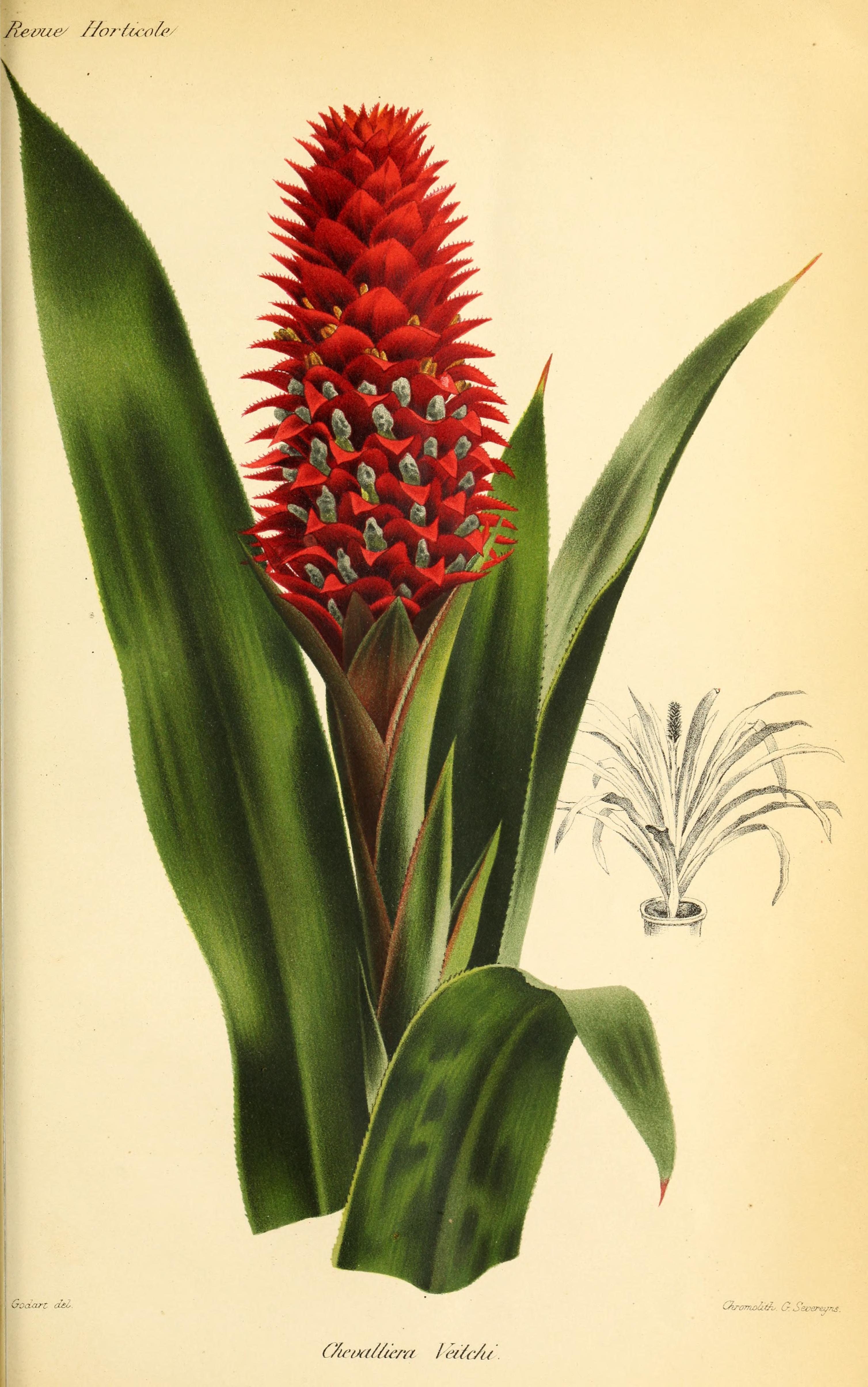 no full size  illustration available (3a)