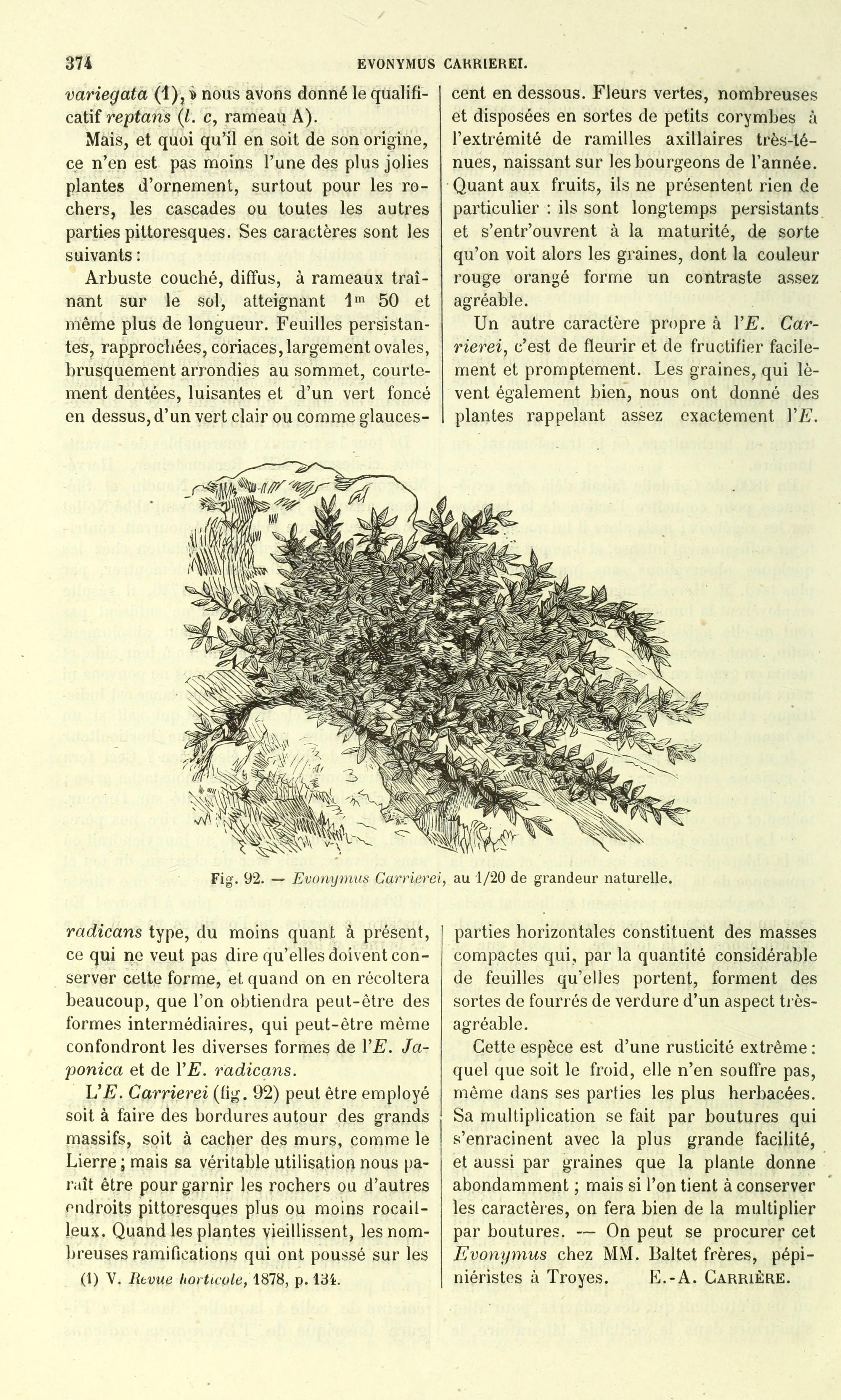 no full size  illustration available (3a)