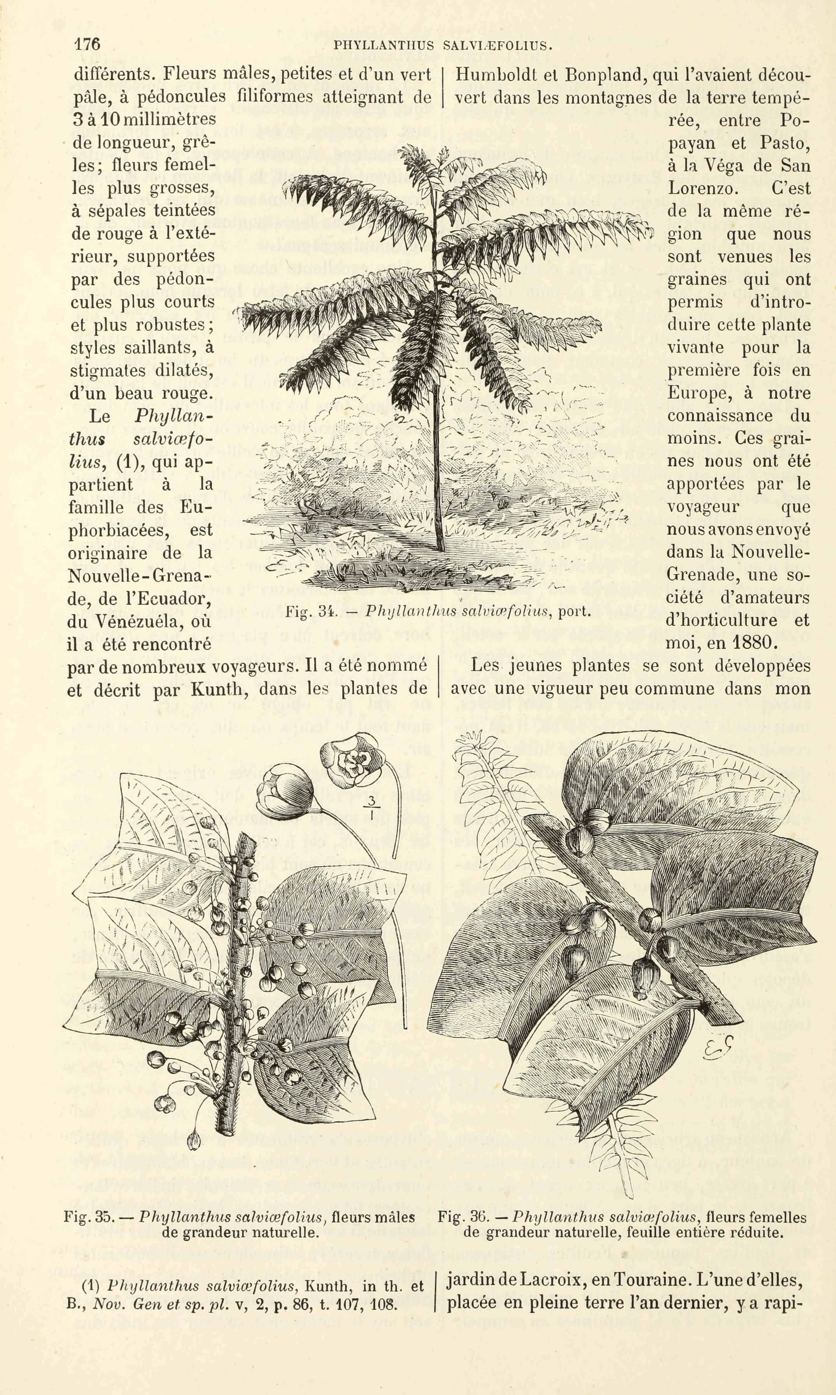 no full size  illustration available (3a)