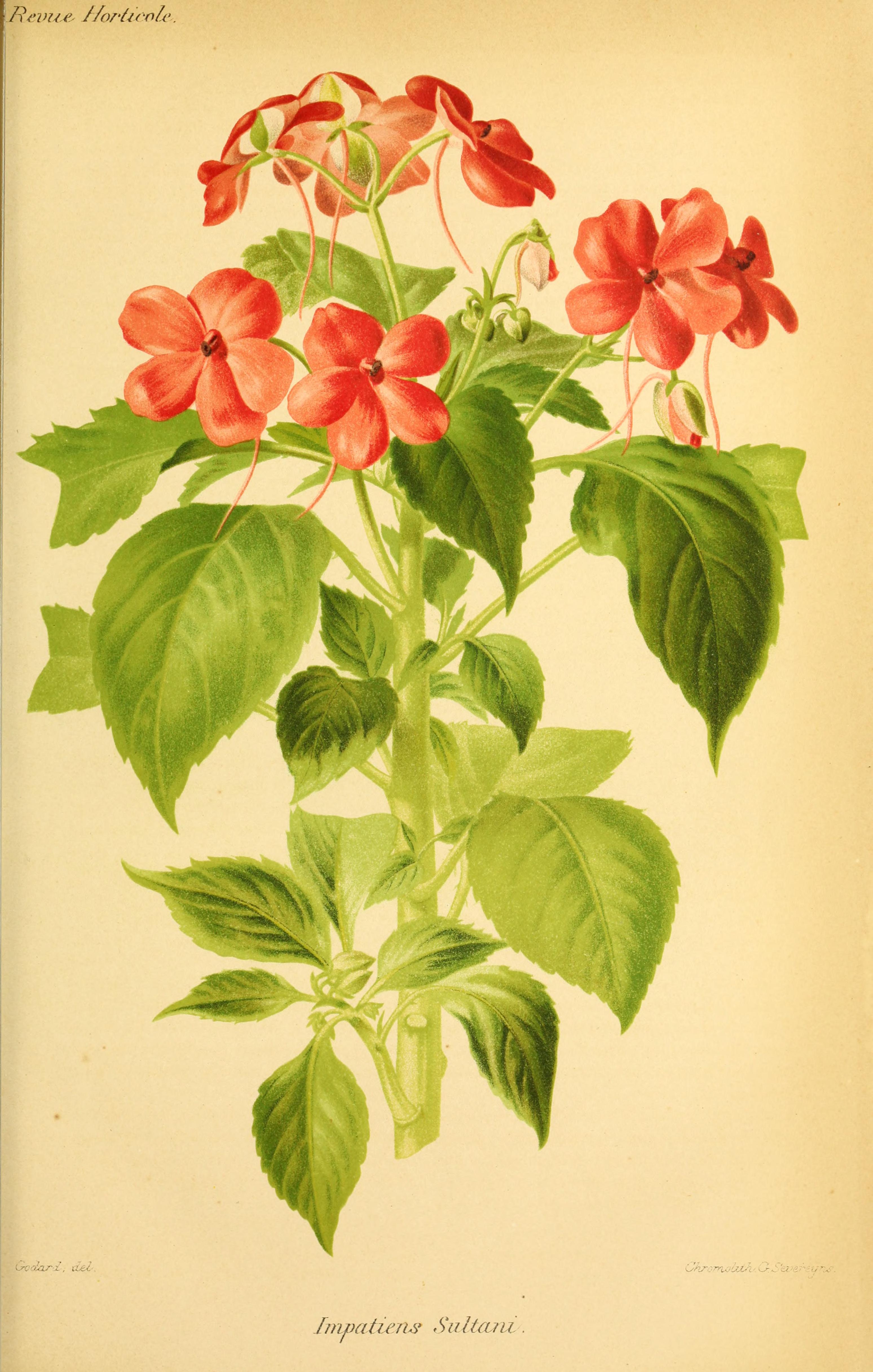 no full size  illustration available (3a)