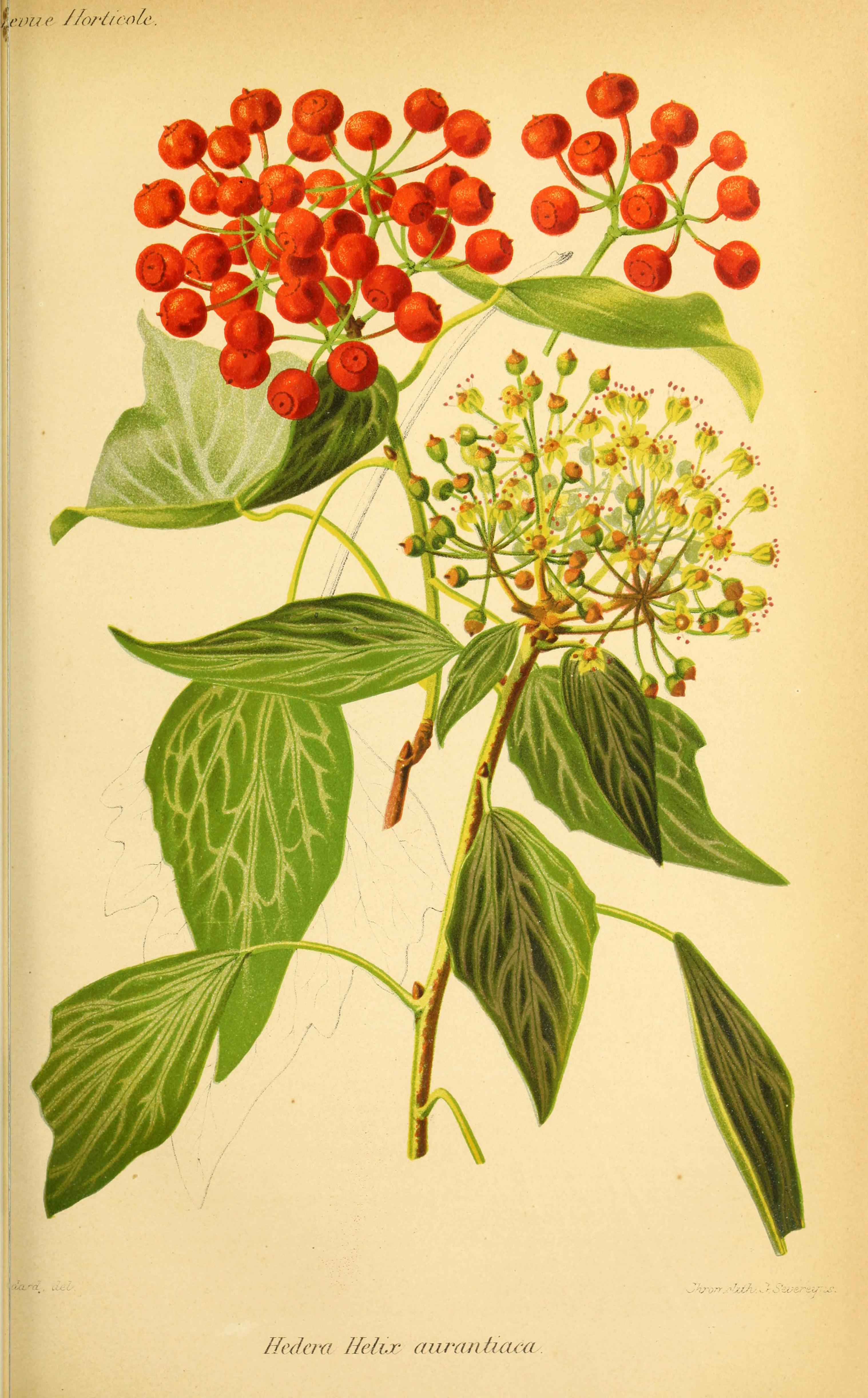 no full size  illustration available (3a)