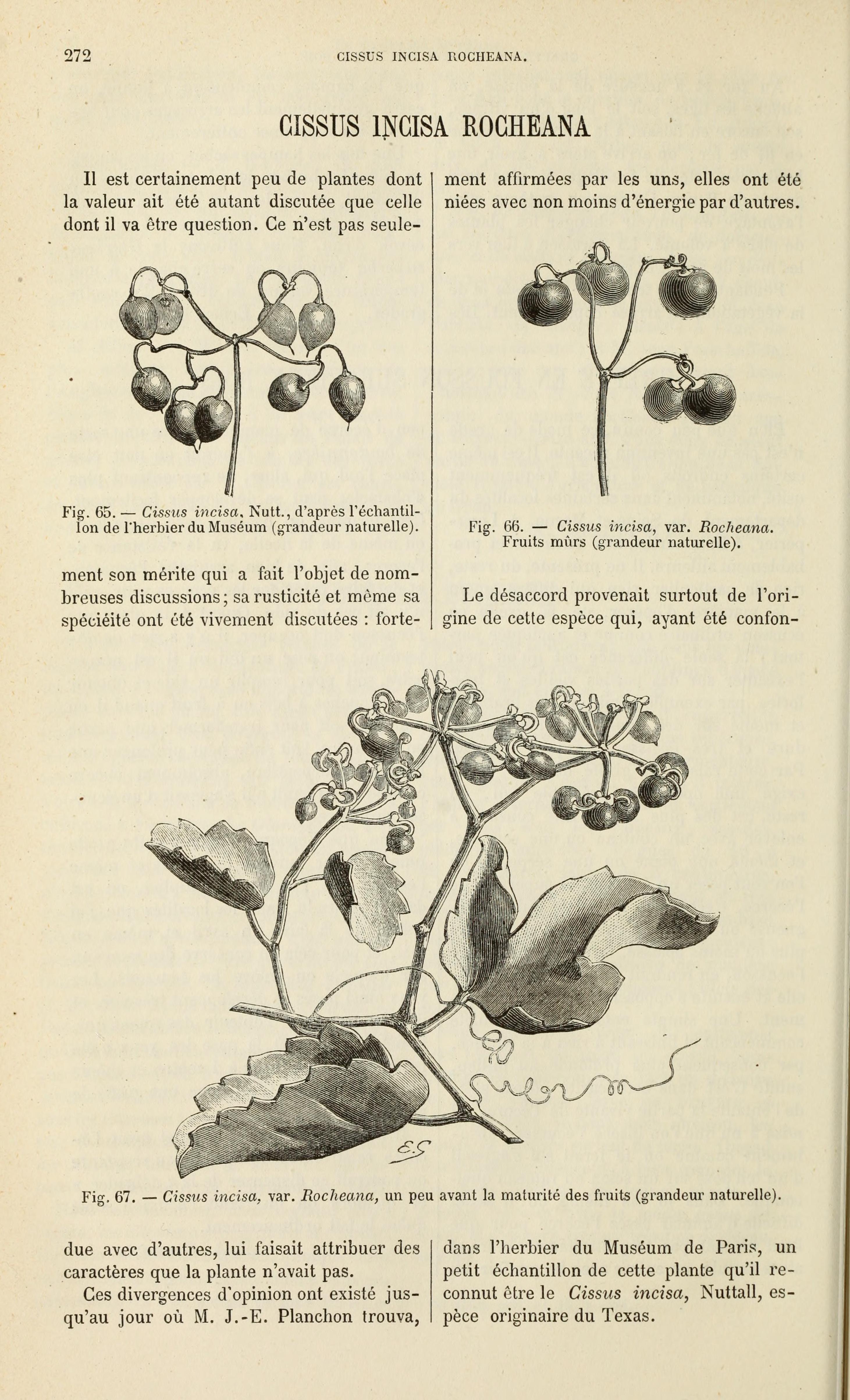 no full size  illustration available (3a)