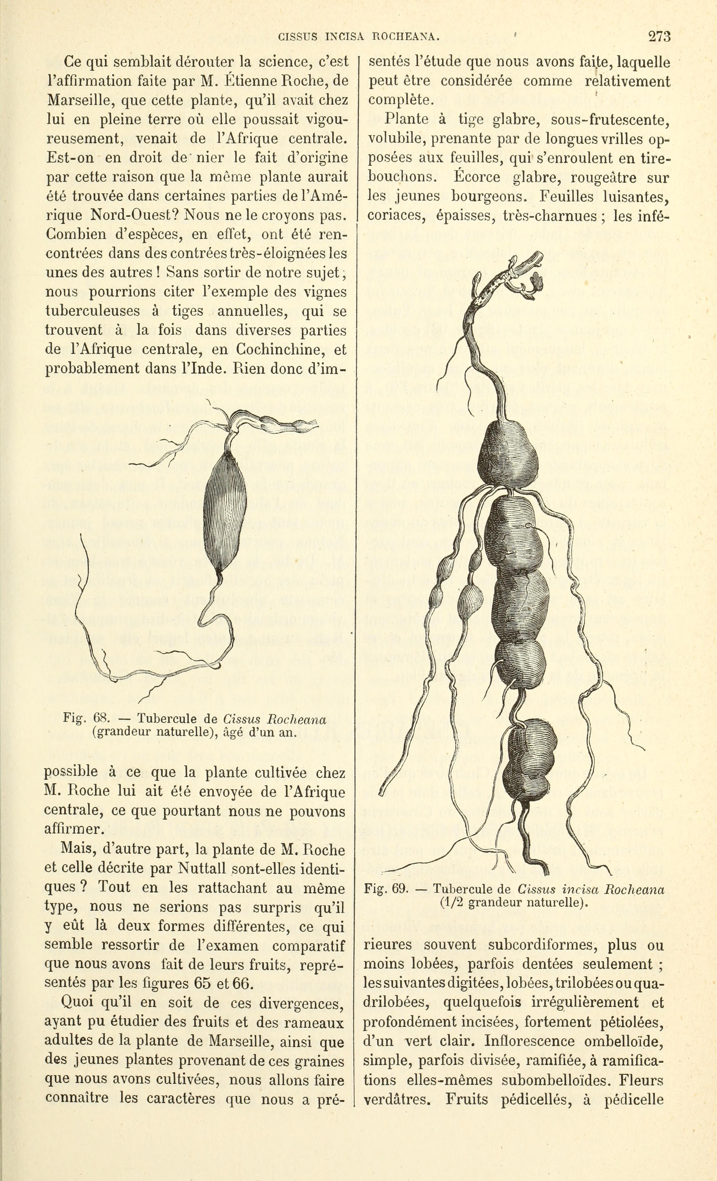 no full size  illustration available (3a)