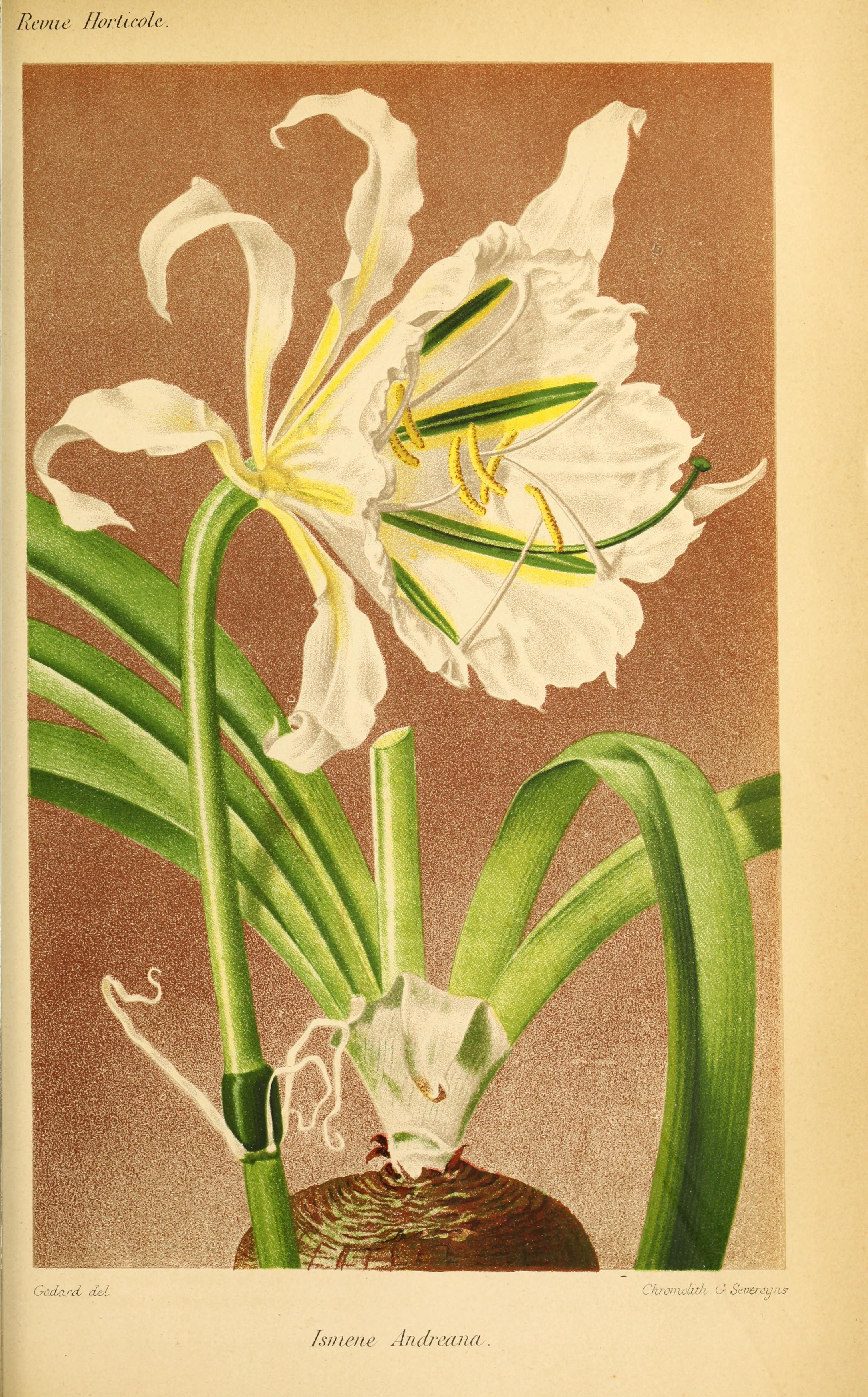 no full size  illustration available (3a)