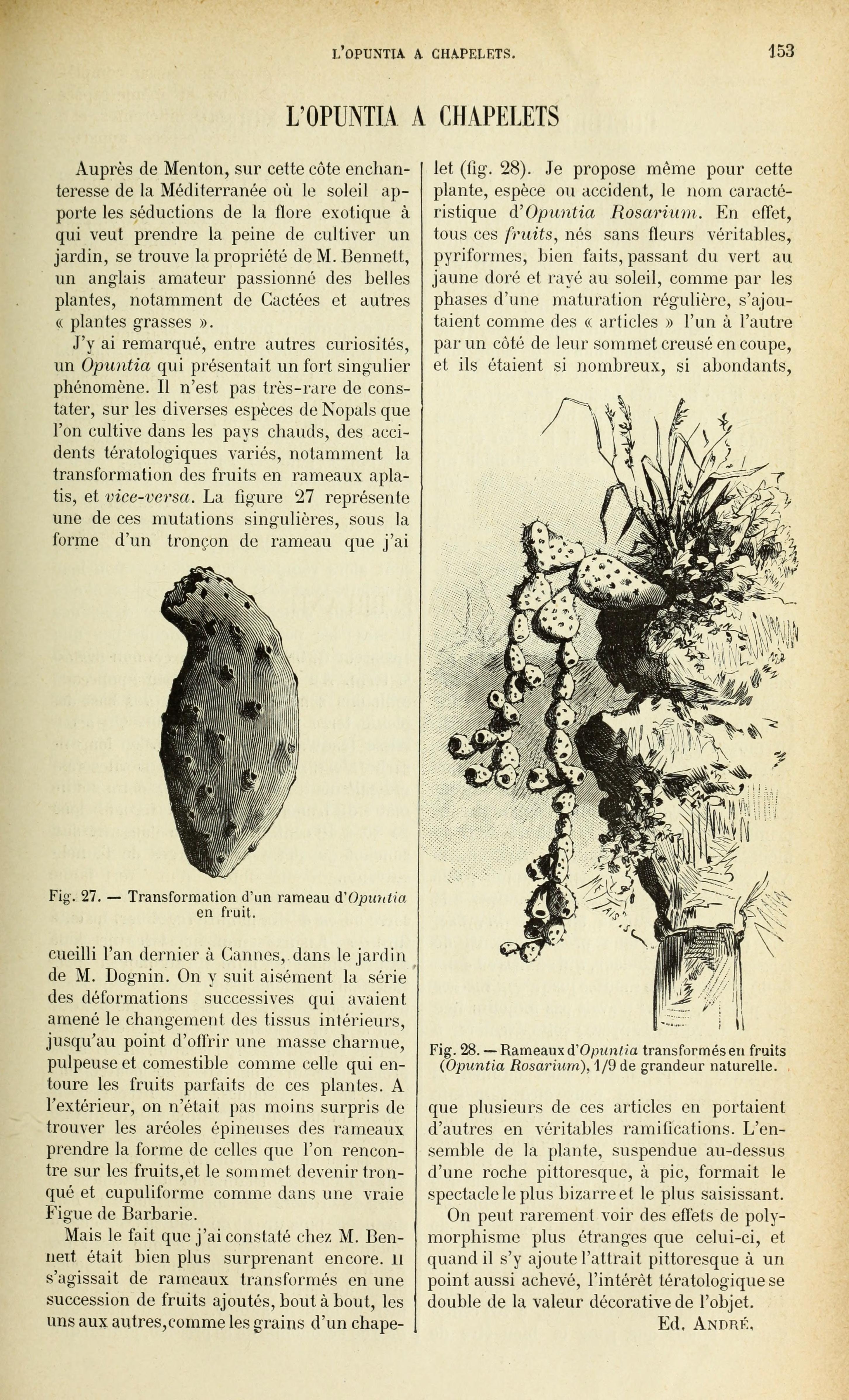 no full size  illustration available (3a)