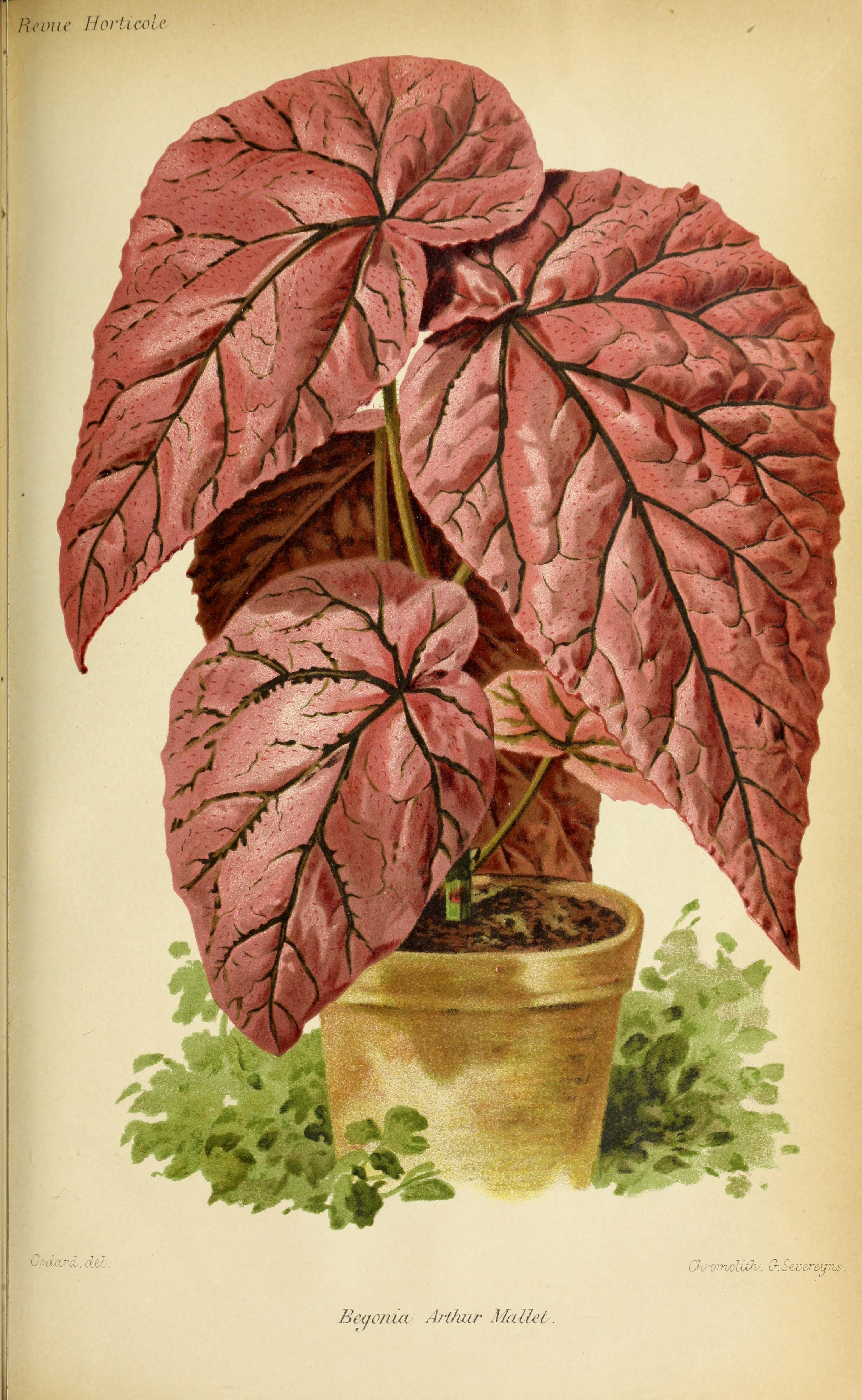 no full size  illustration available (3a)