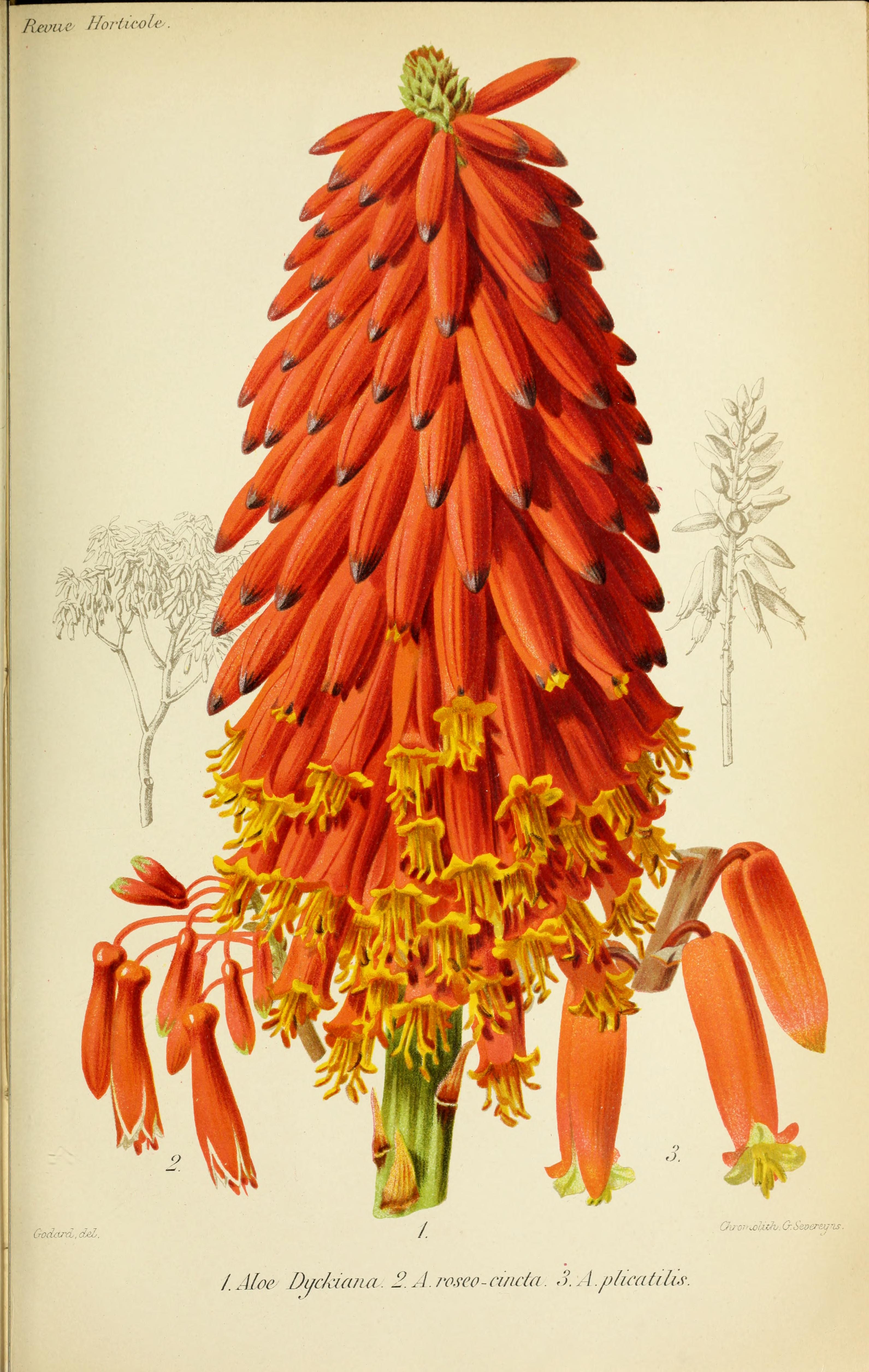 no full size  illustration available (3a)