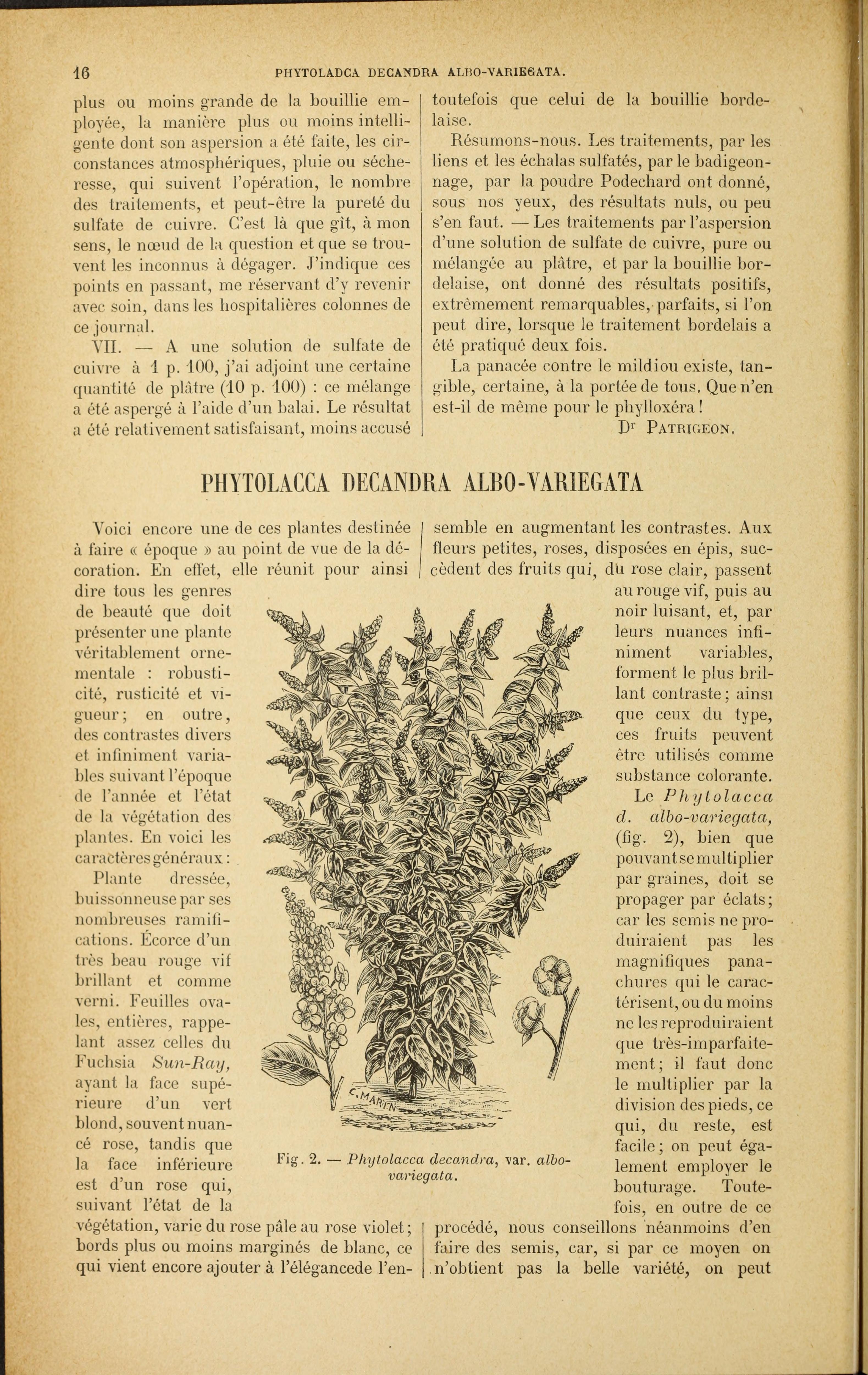 no full size  illustration available (3a)