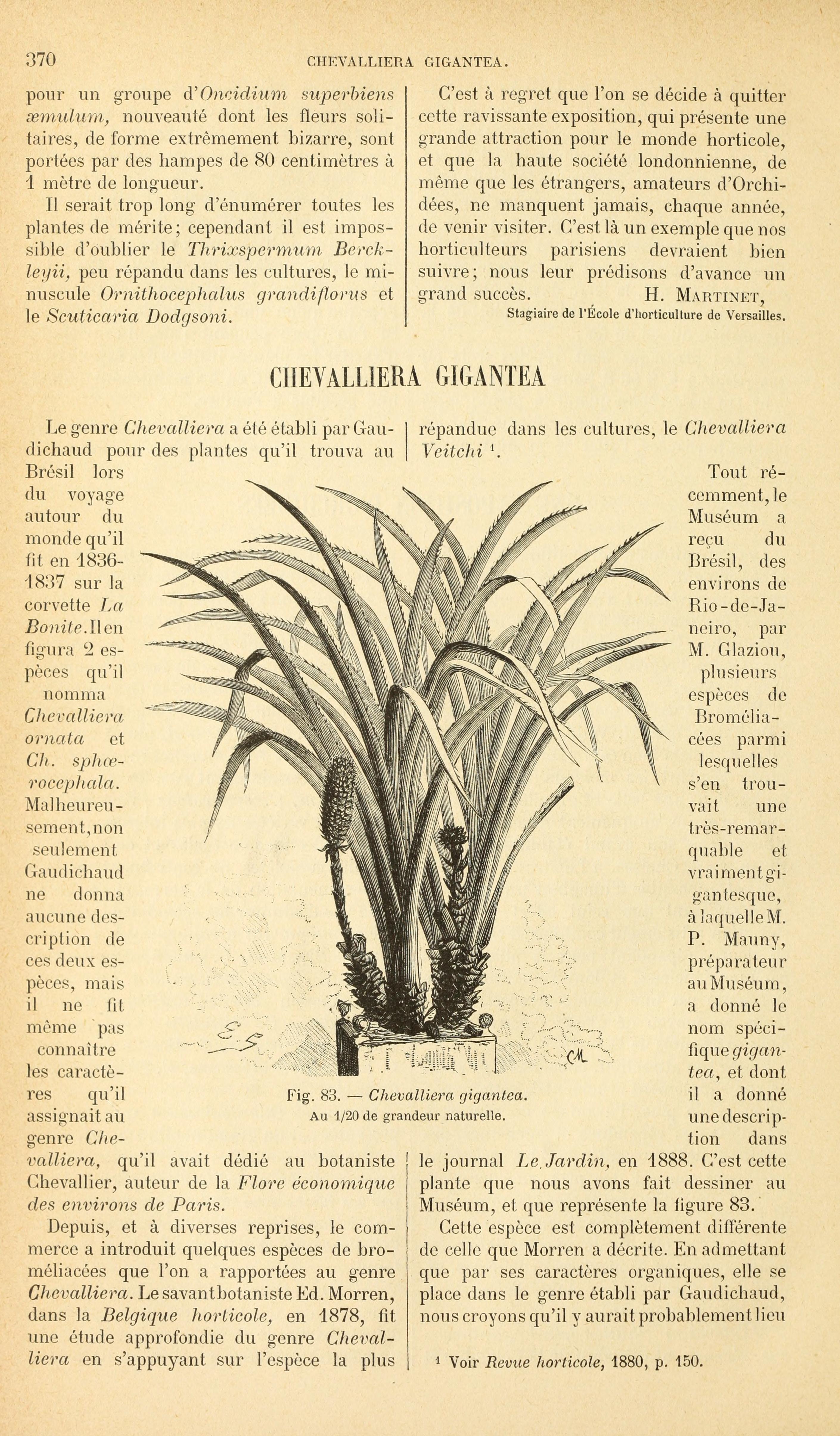 no full size  illustration available (3a)