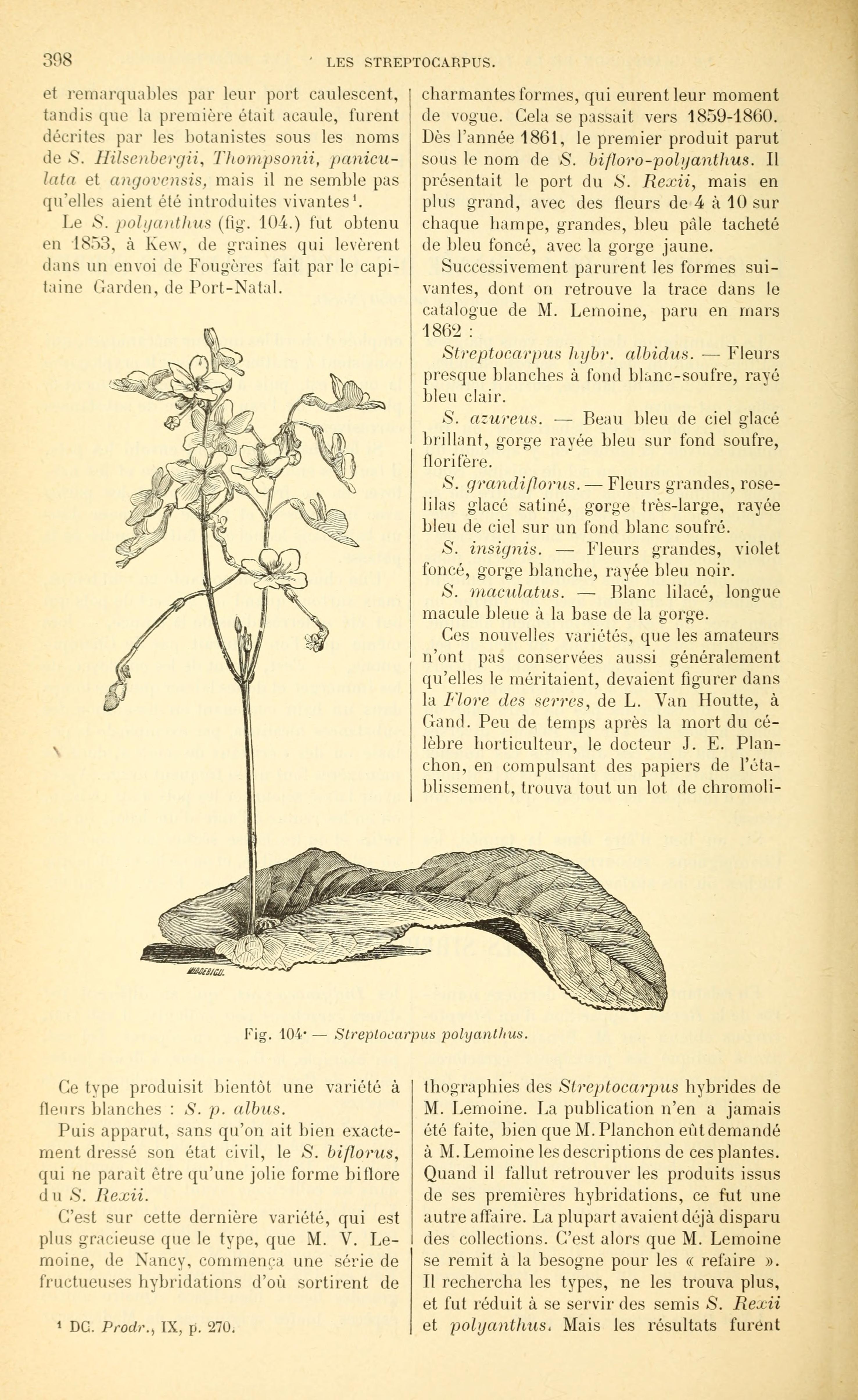 no full size  illustration available (3a)