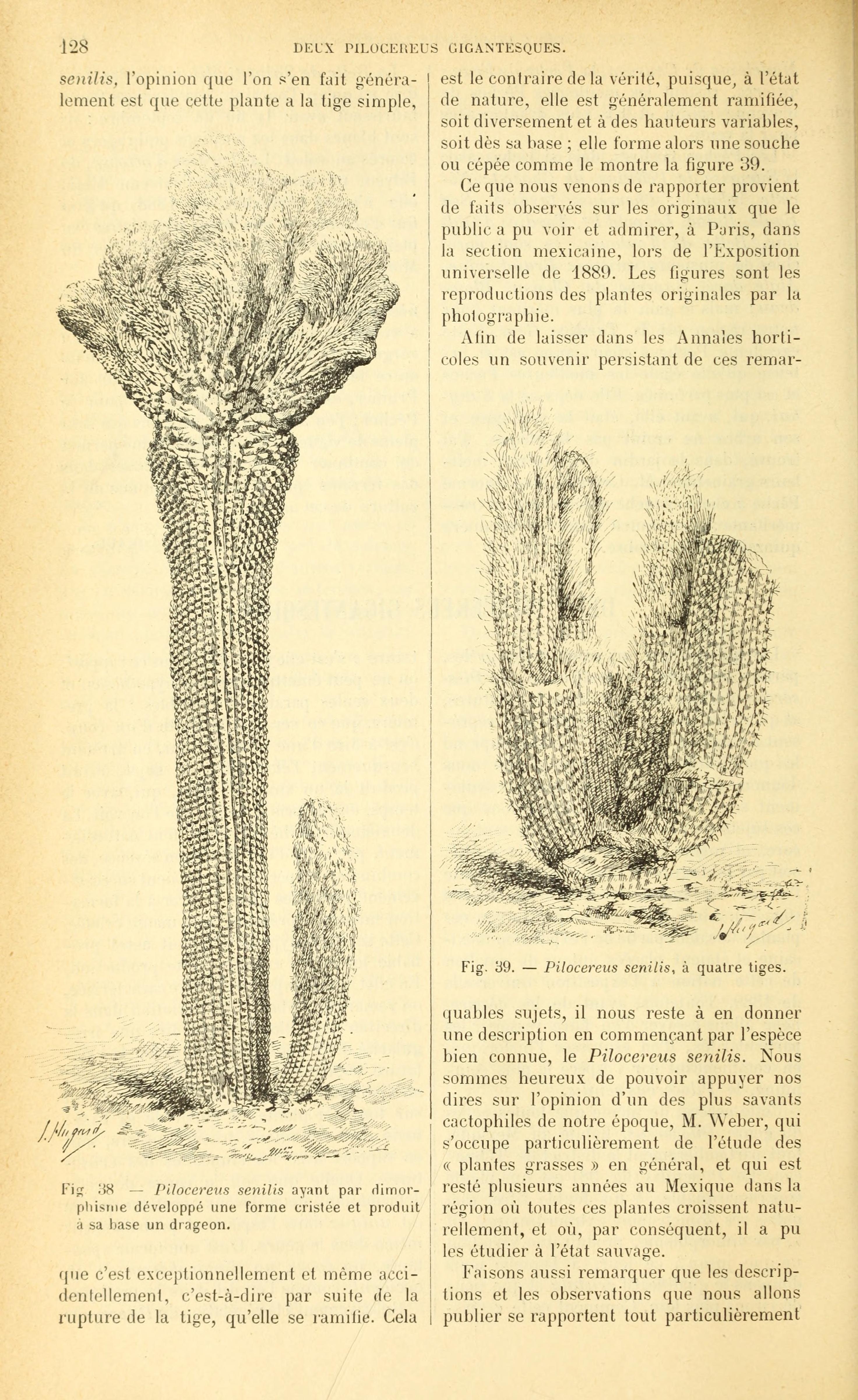 no full size  illustration available (3a)