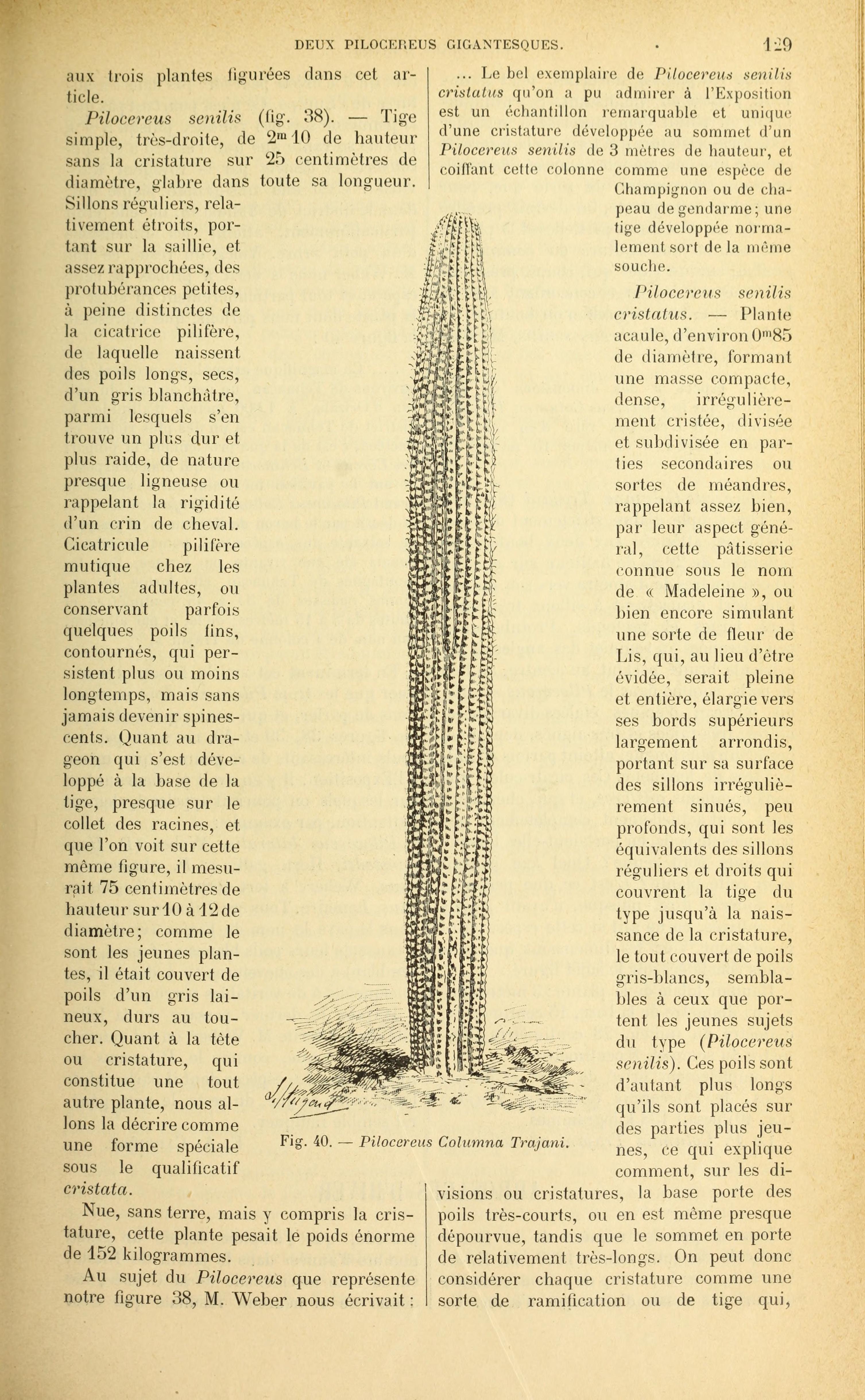 no full size  illustration available (3a)