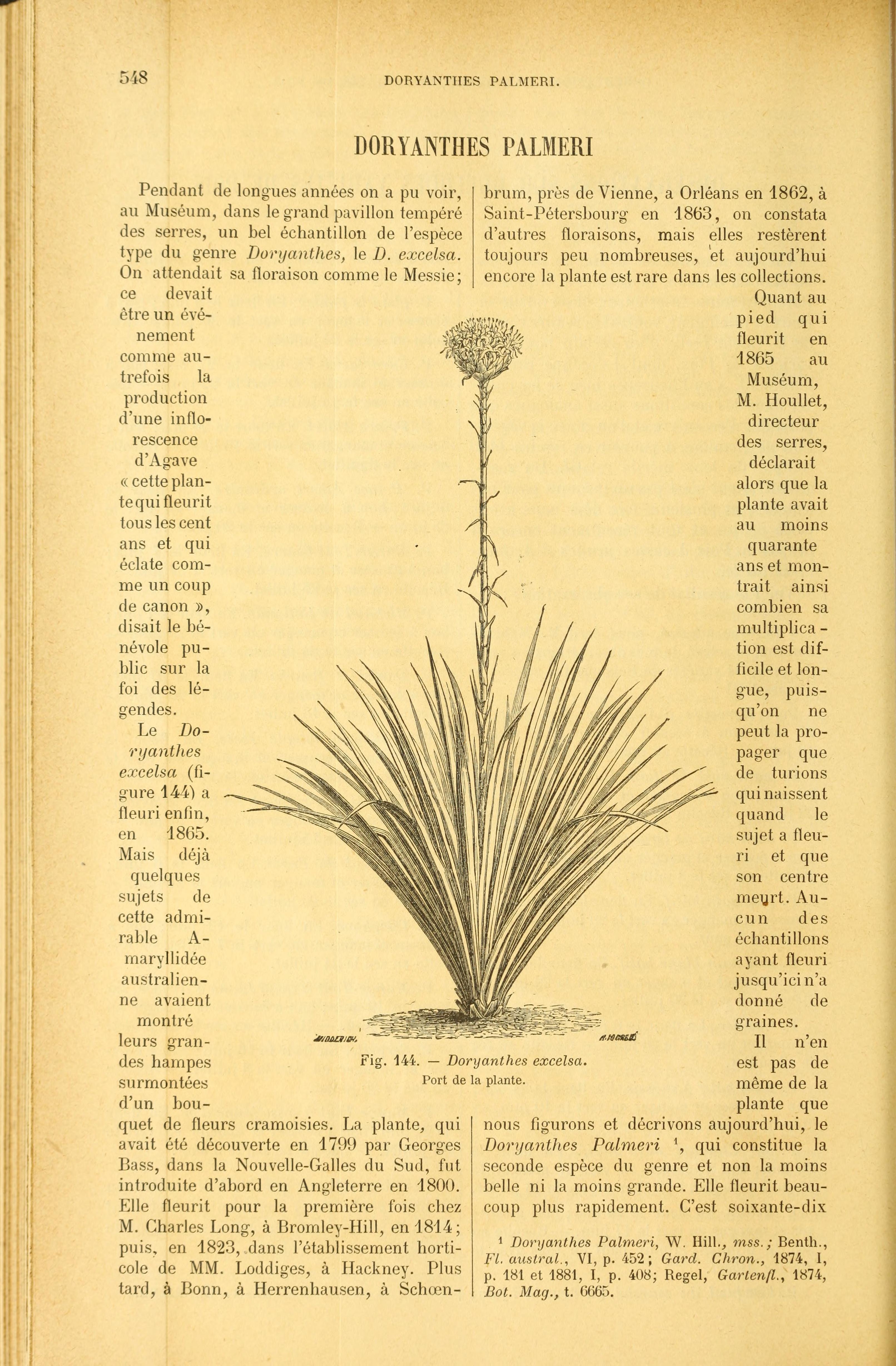 no full size  illustration available (3a)