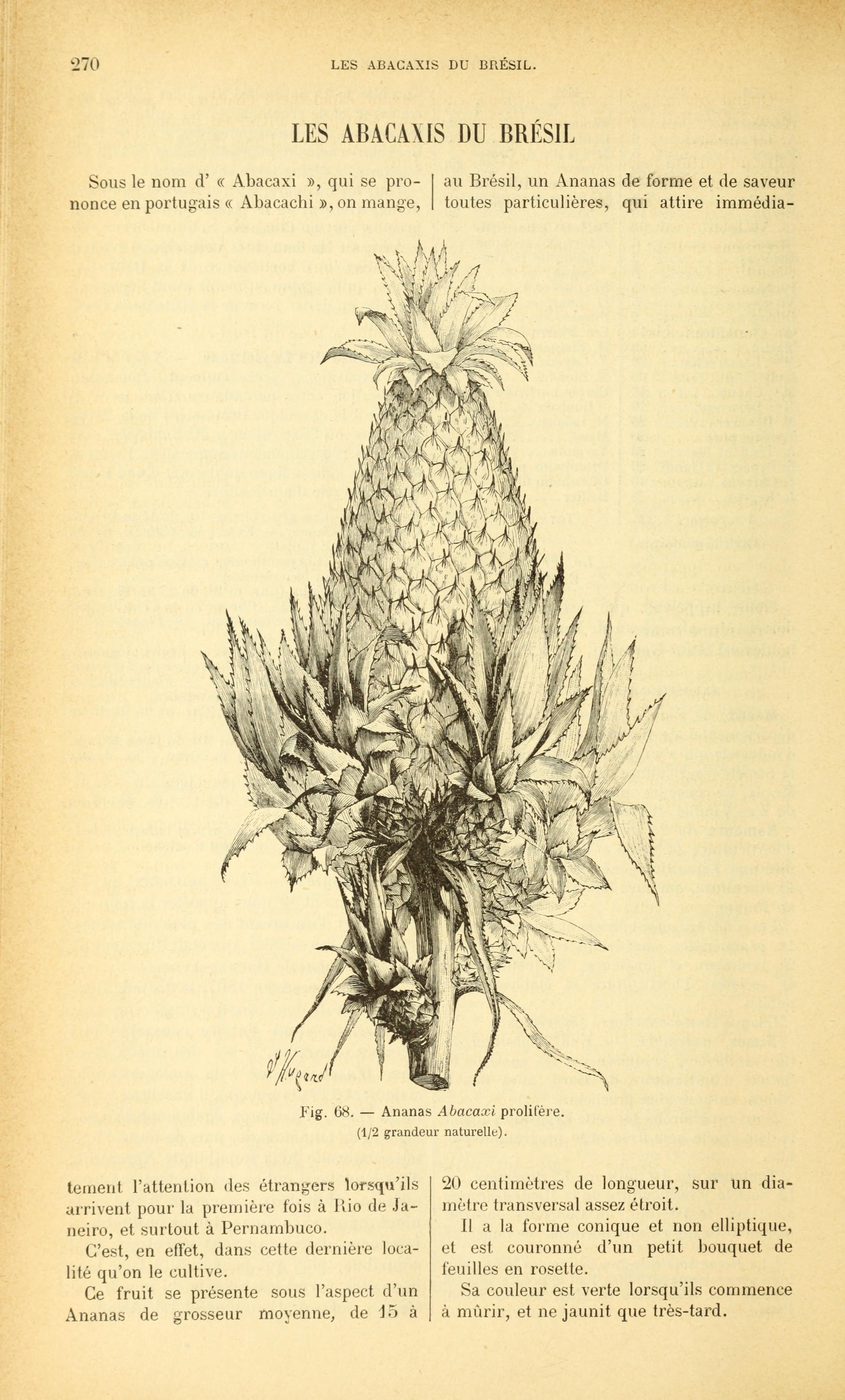 no full size  illustration available (3a)