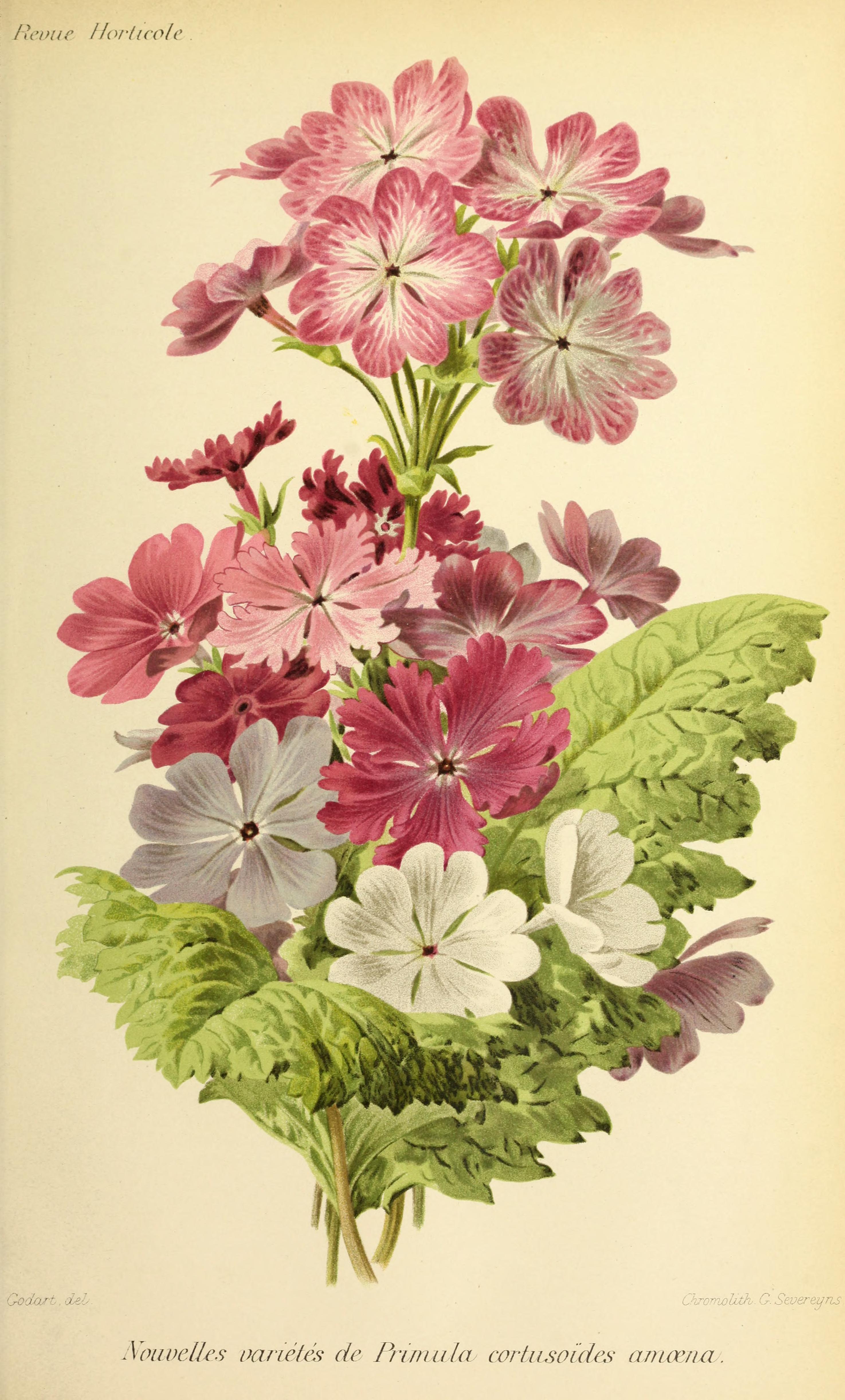 no full size  illustration available (3a)