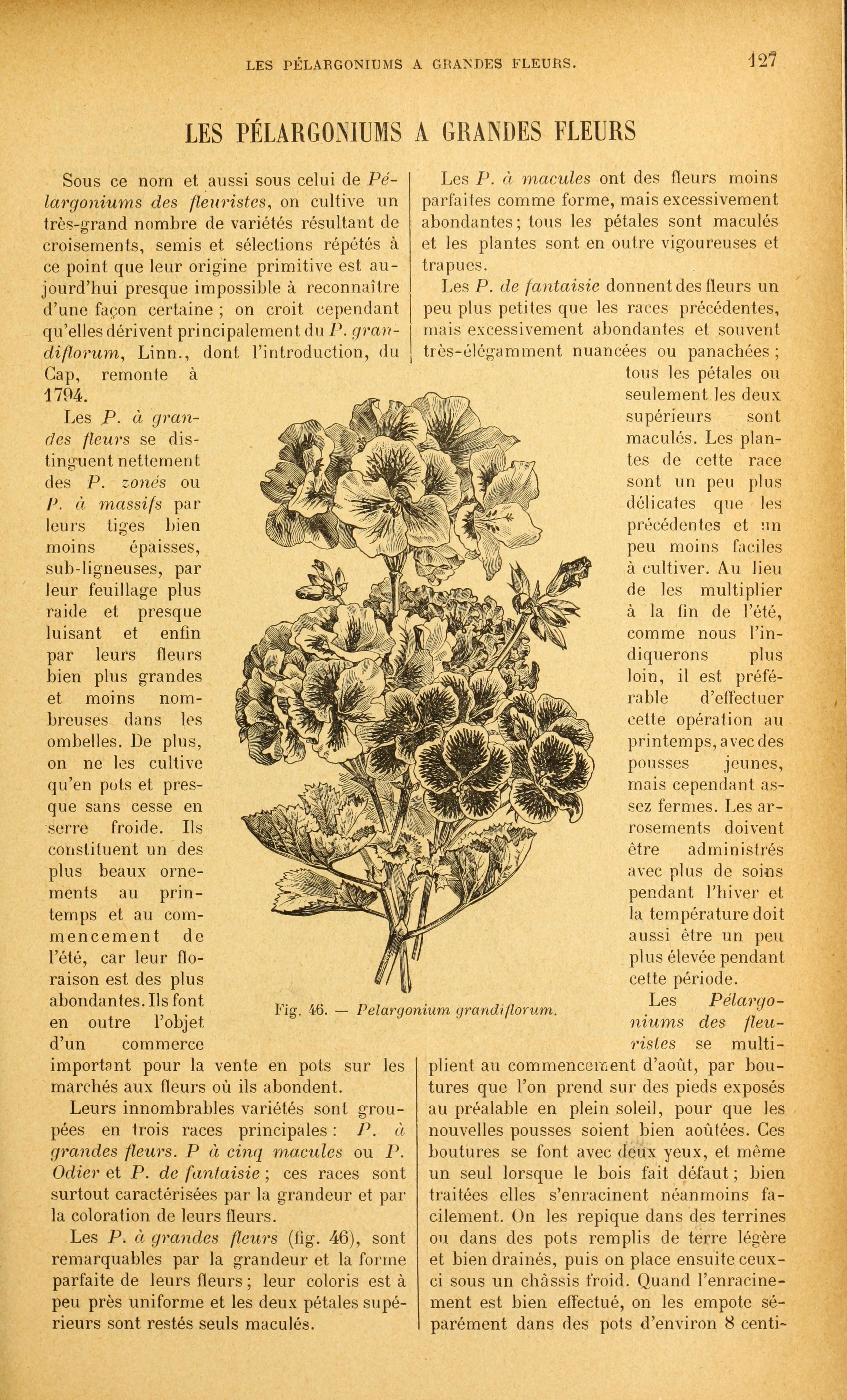 no full size  illustration available (3a)