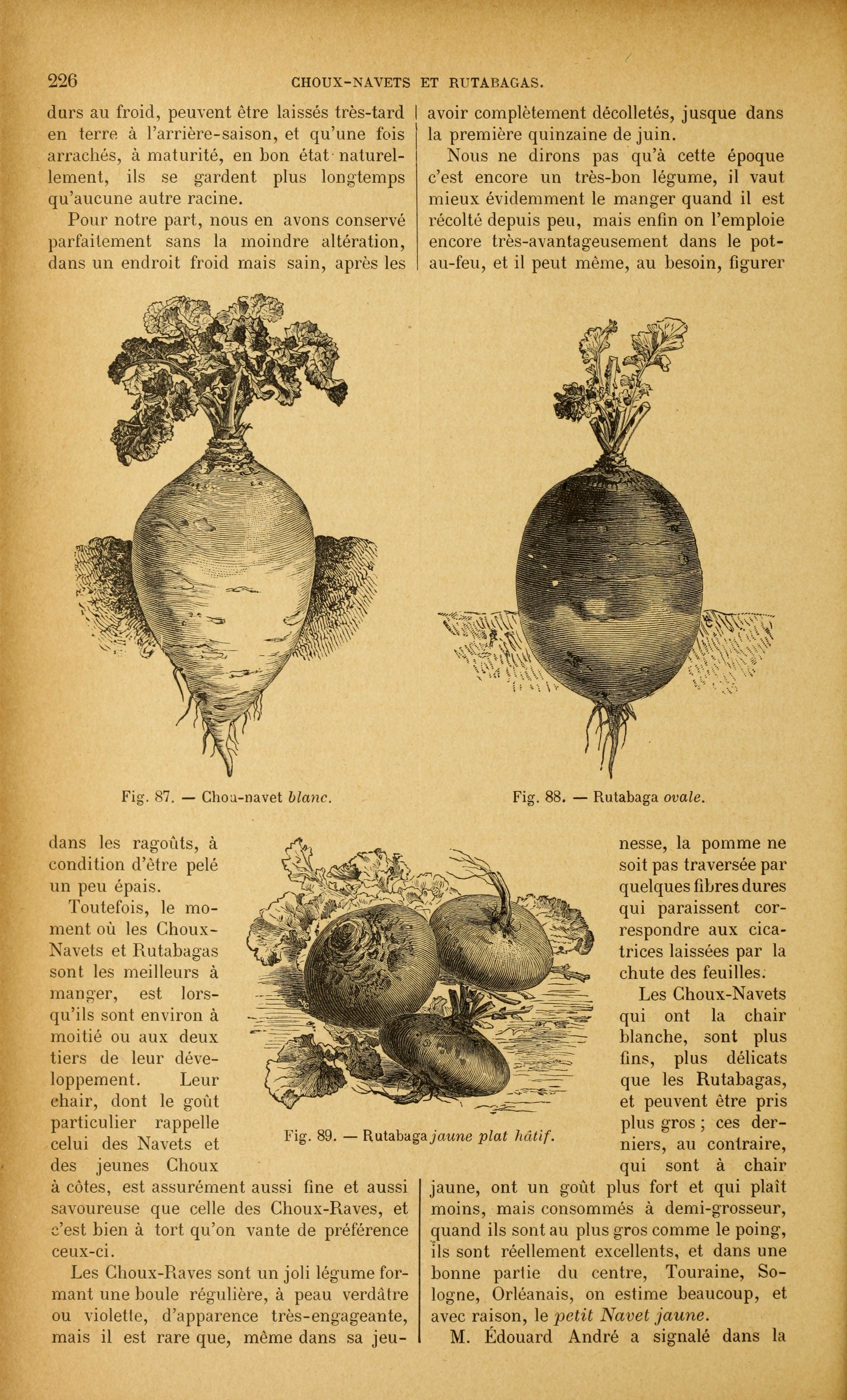 no full size  illustration available (3a)