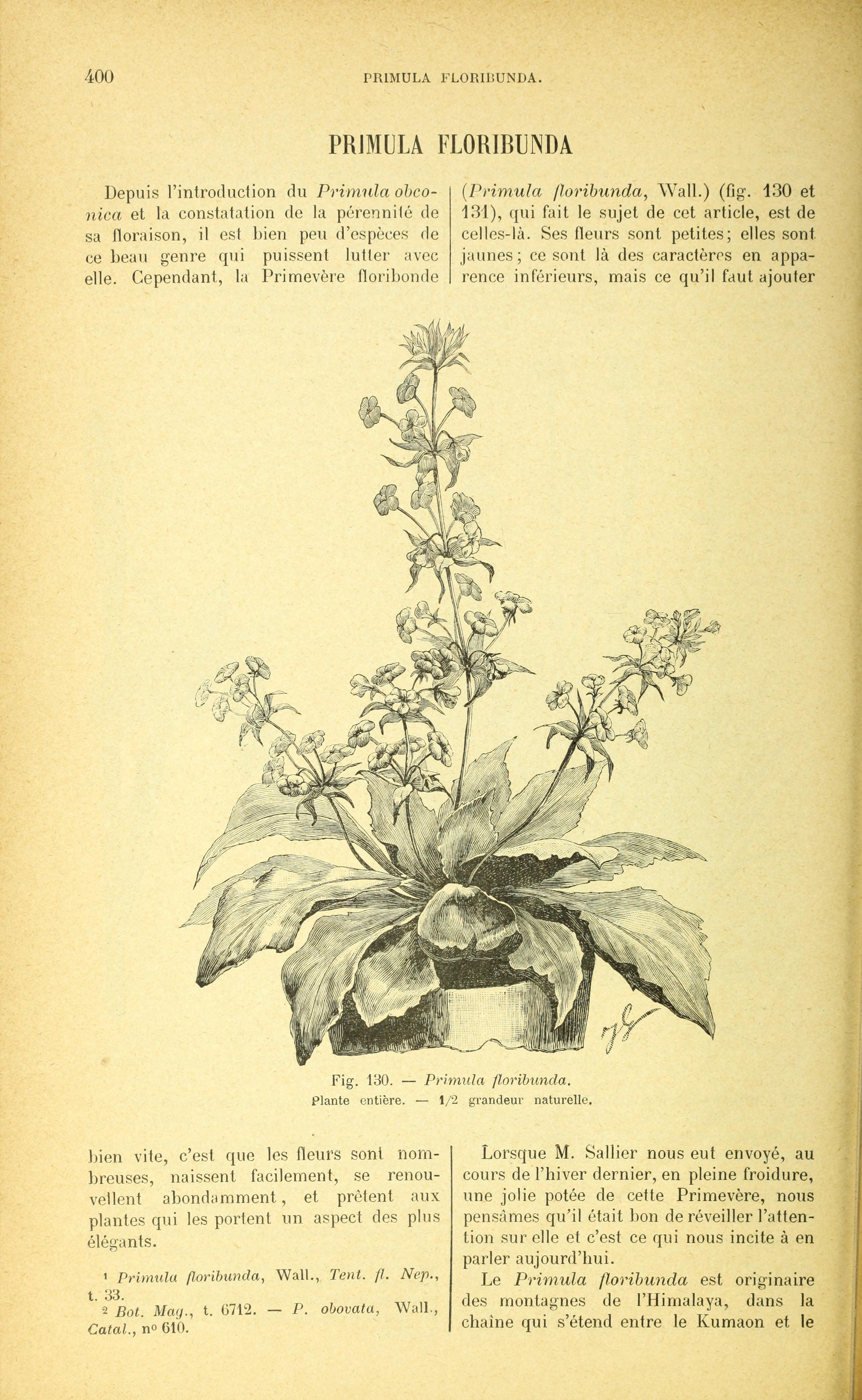 no full size  illustration available (3a)