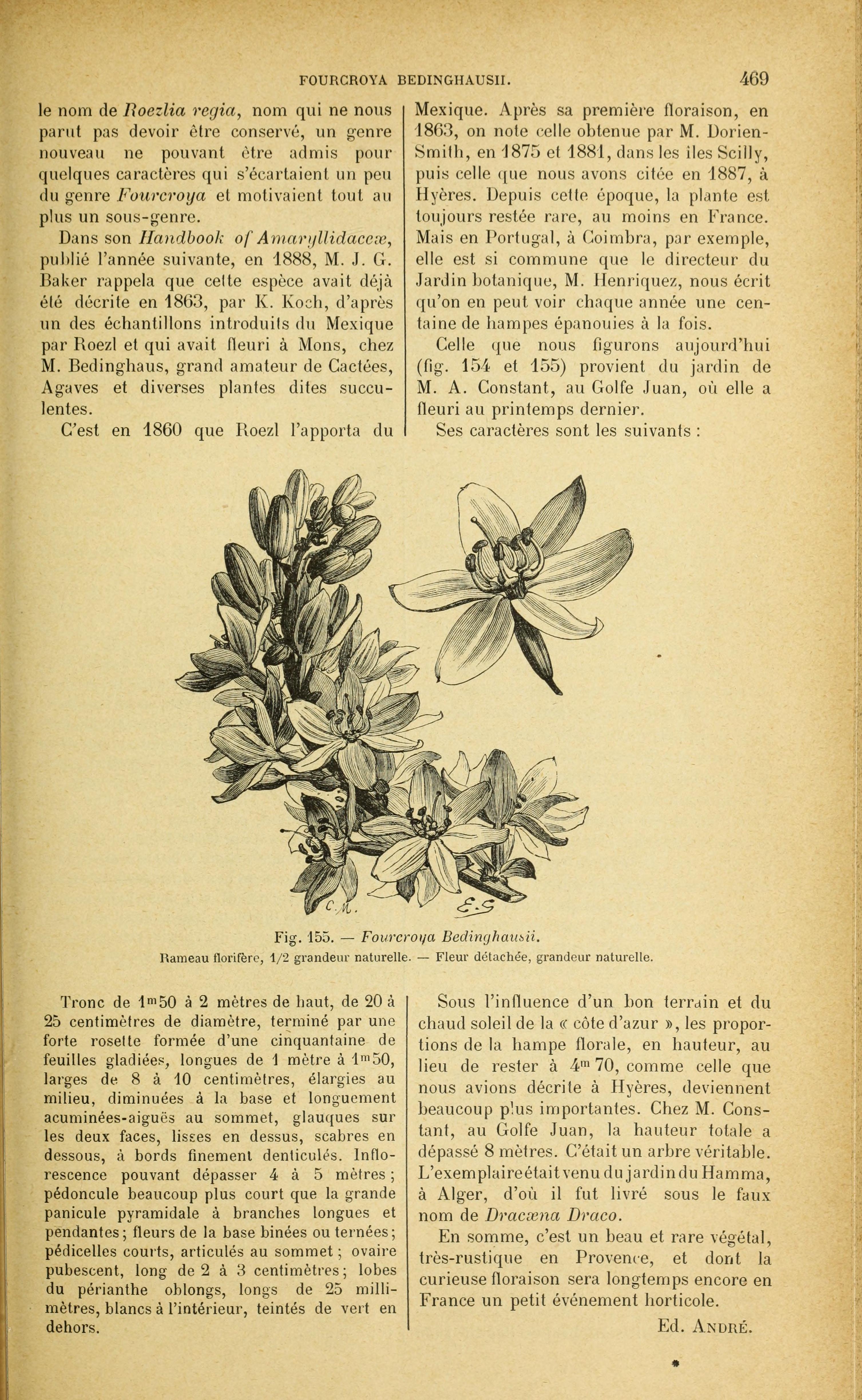 no full size  illustration available (3a)