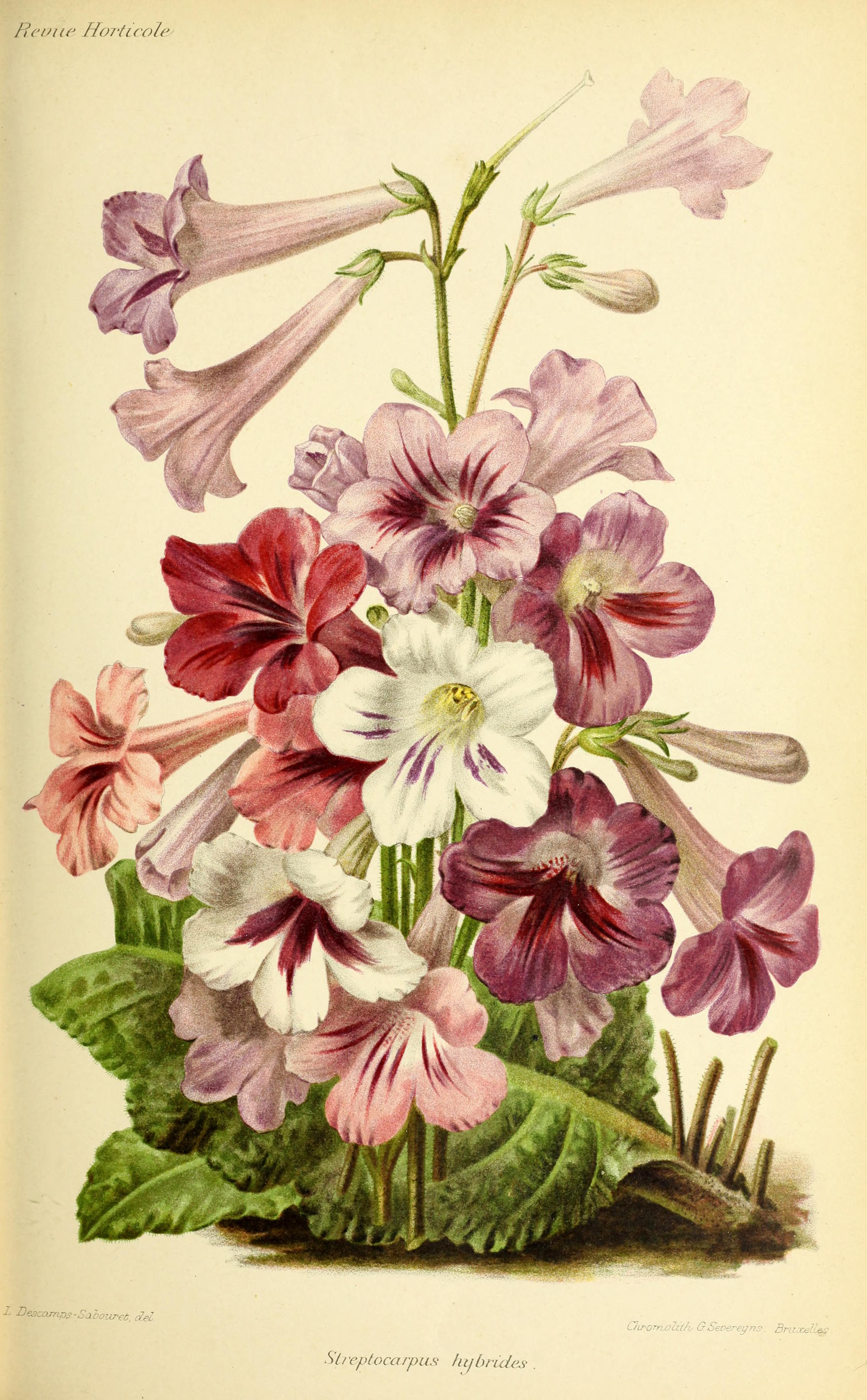 no full size  illustration available (3a)