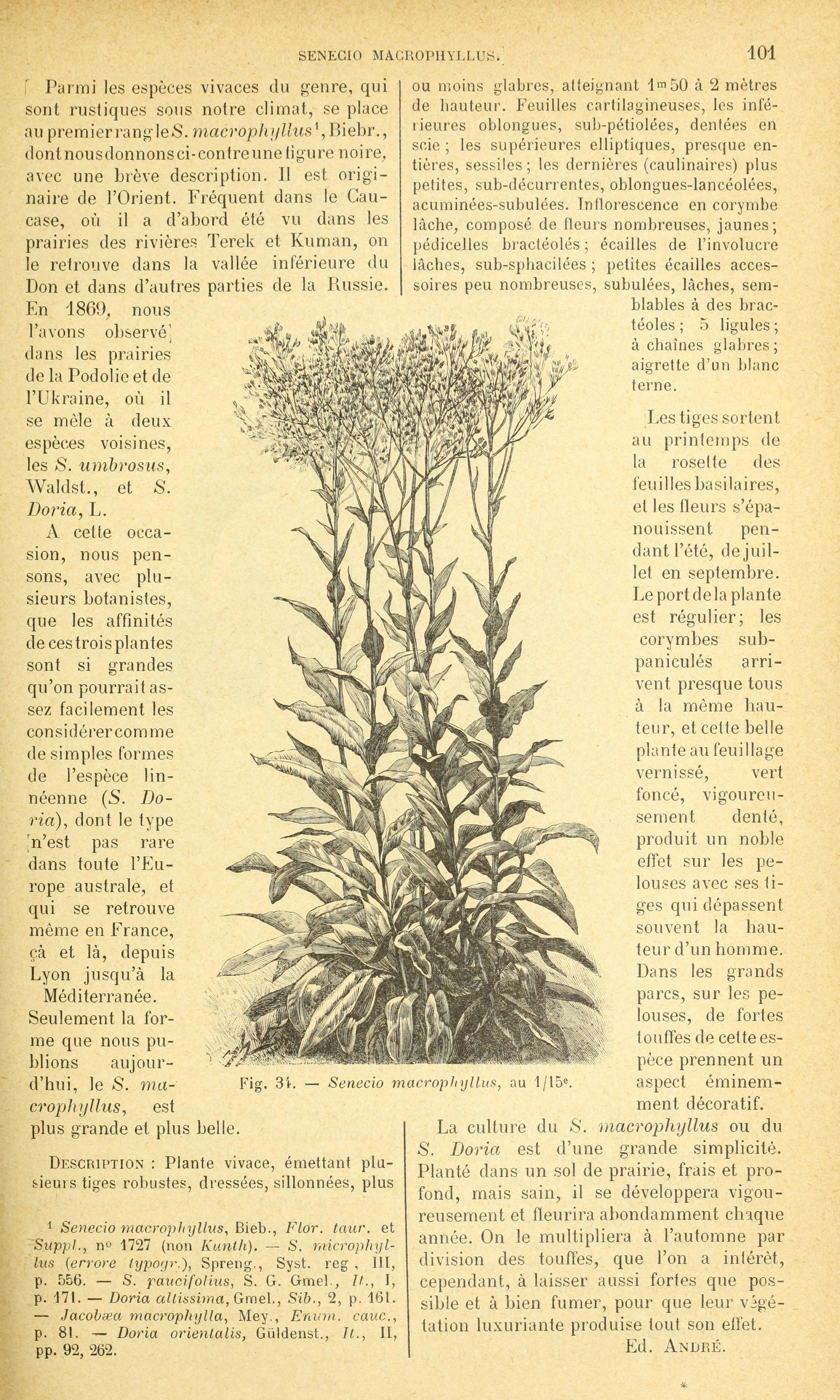 no full size  illustration available (3a)