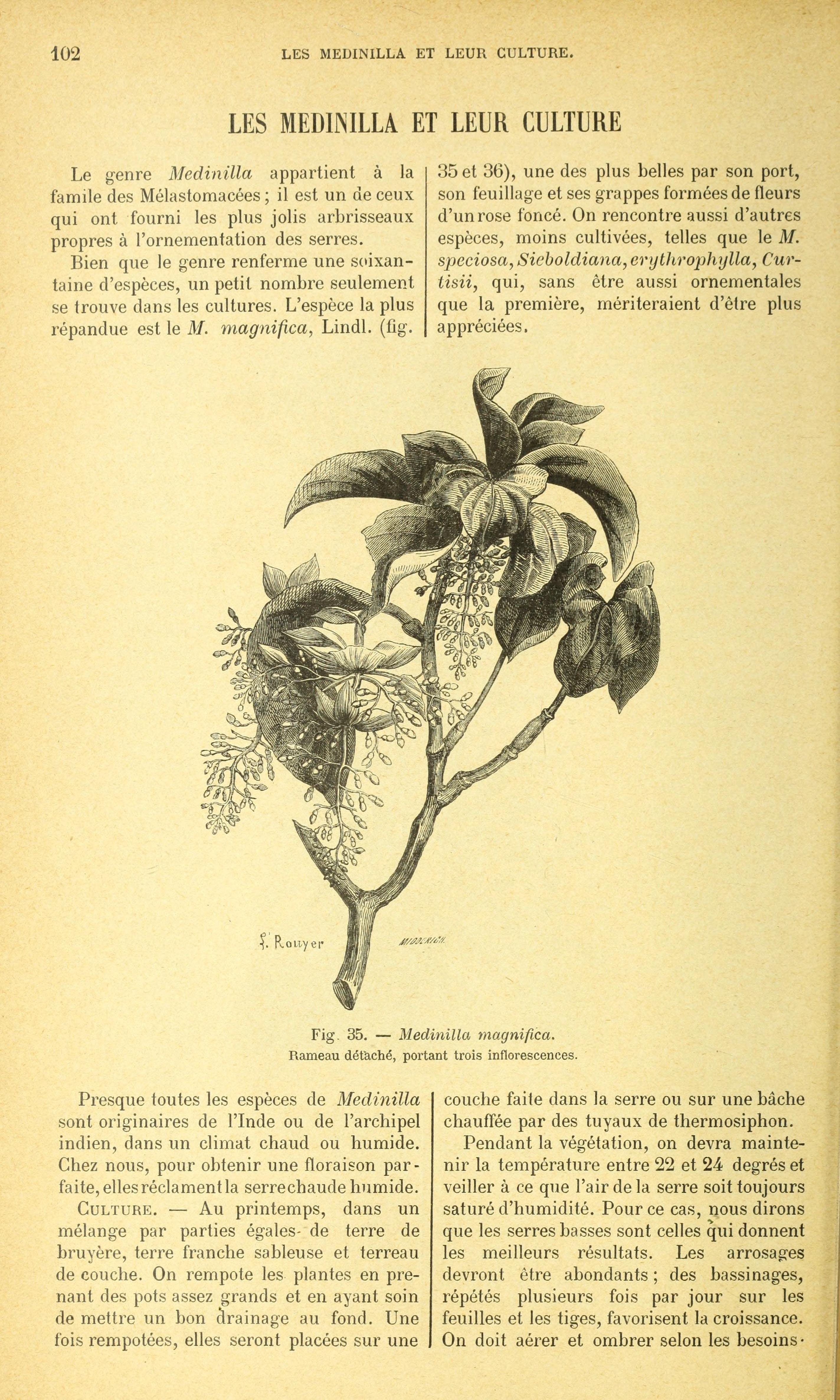 no full size  illustration available (3a)