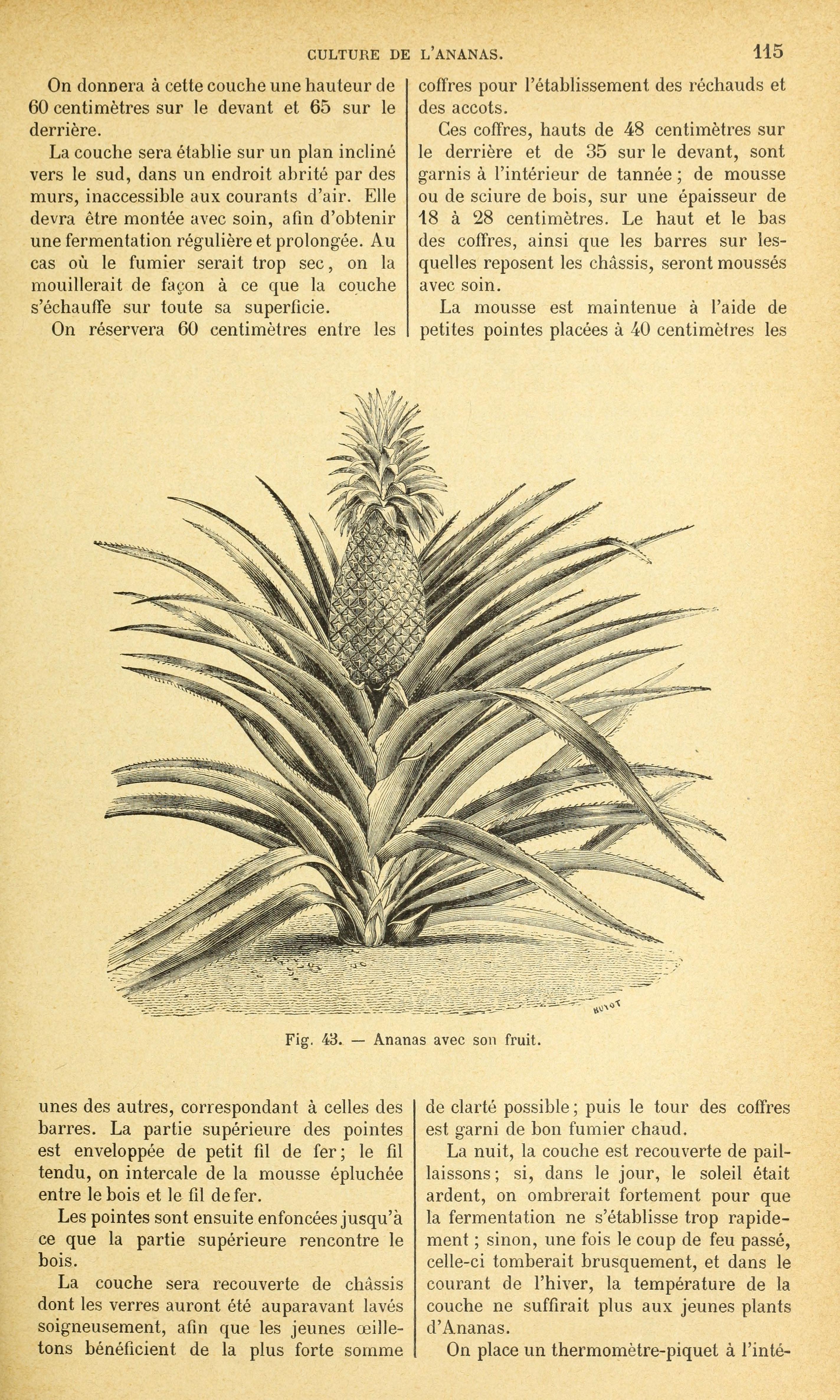 no full size  illustration available (3a)