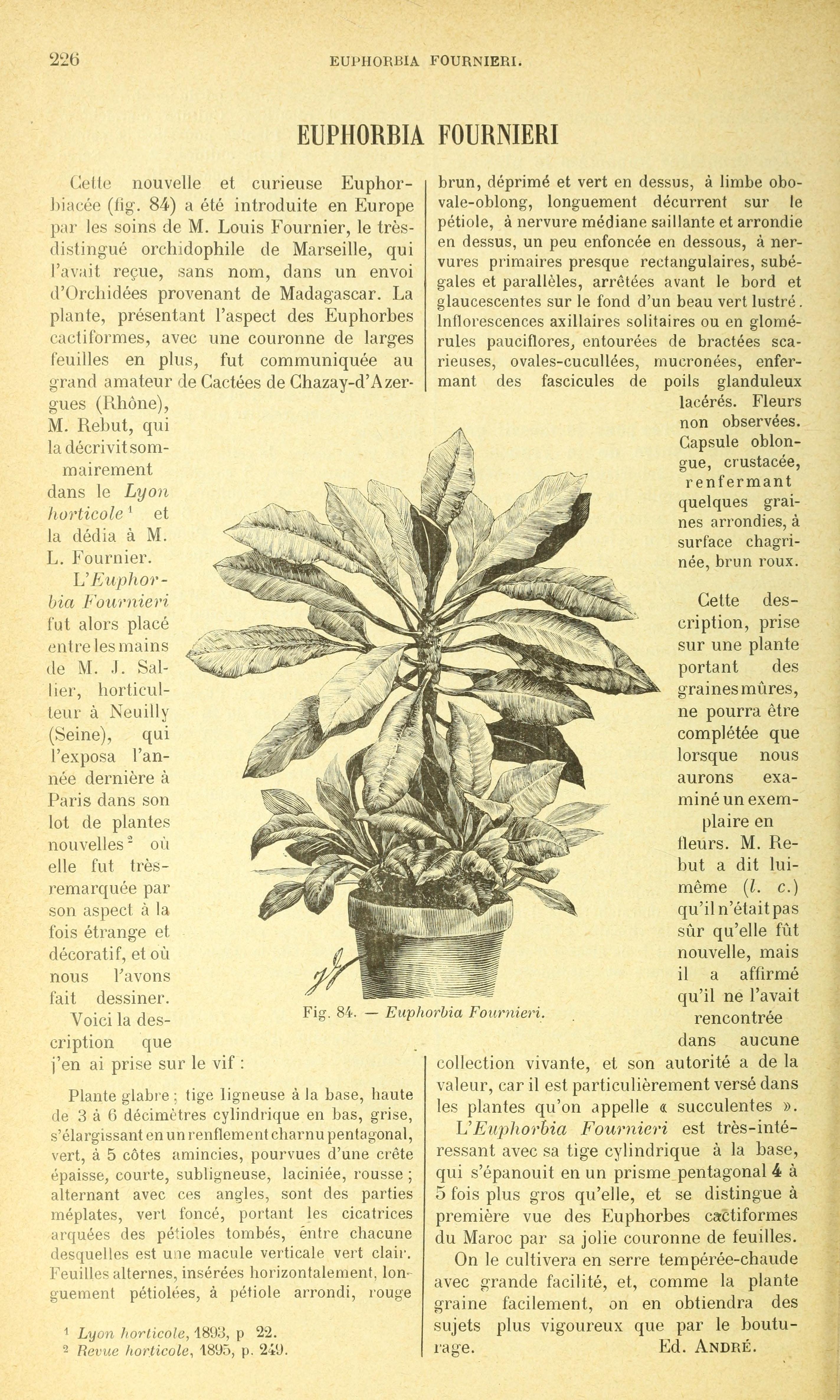 no full size  illustration available (3a)