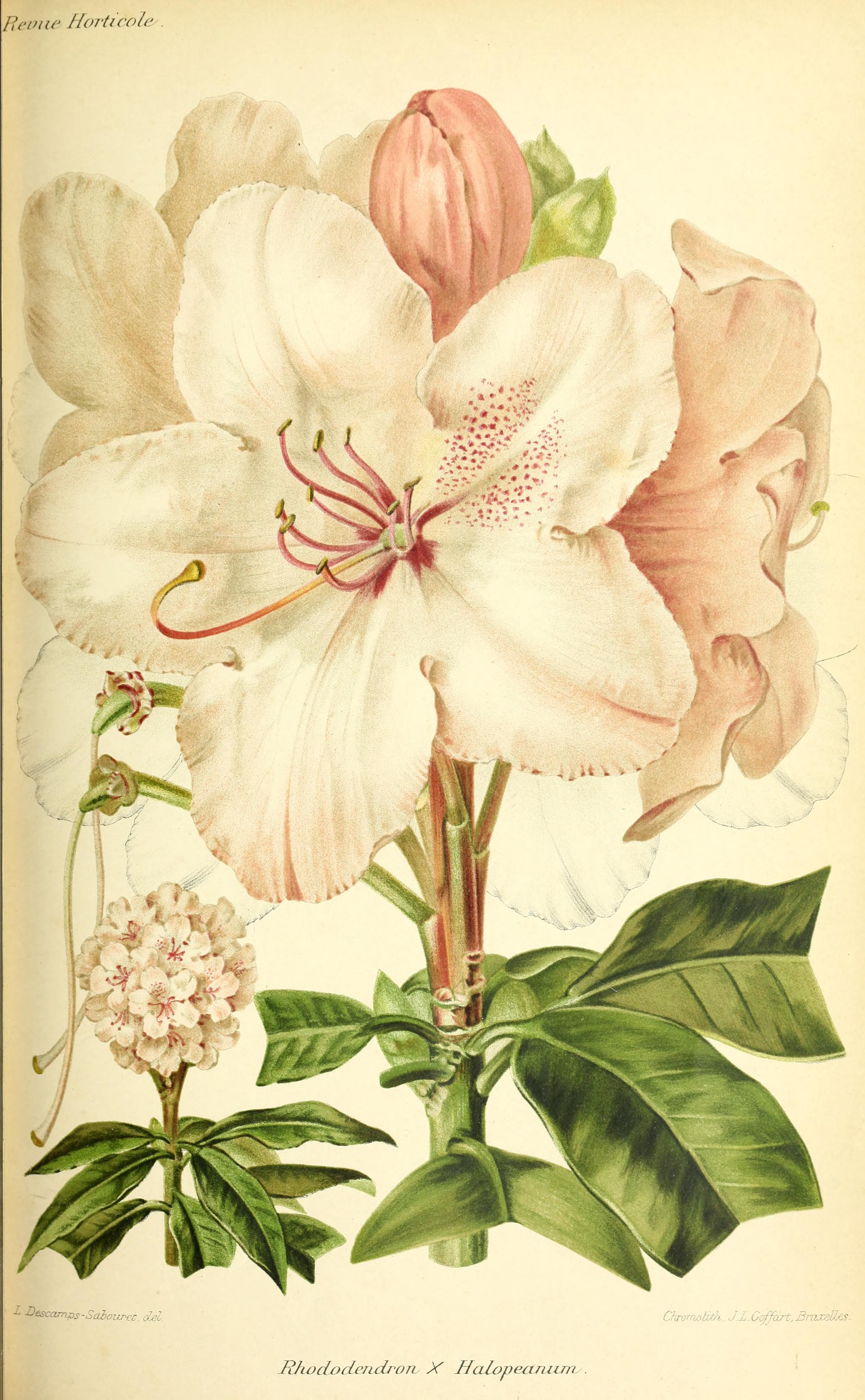 no full size  illustration available (3a)