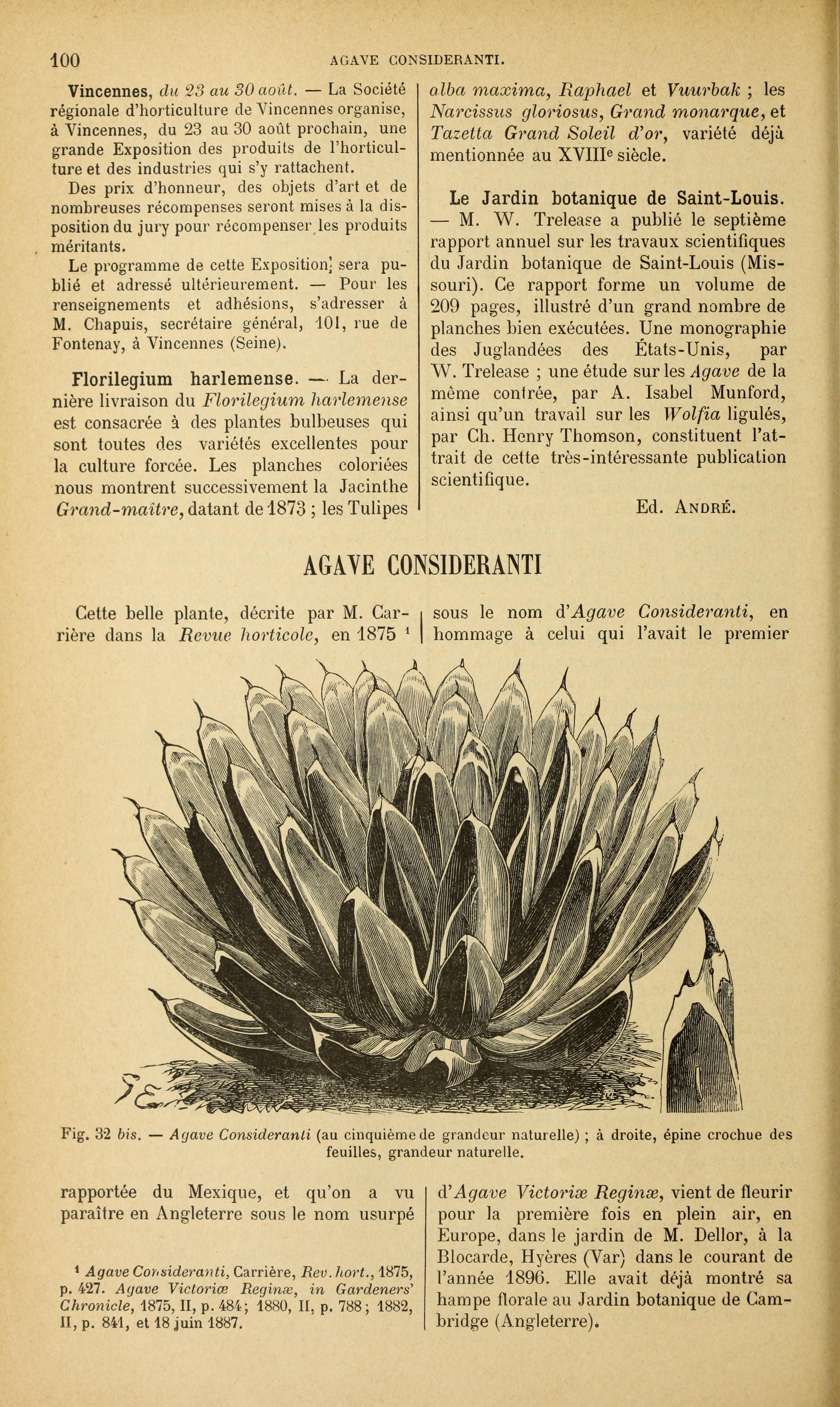 no full size  illustration available (3a)