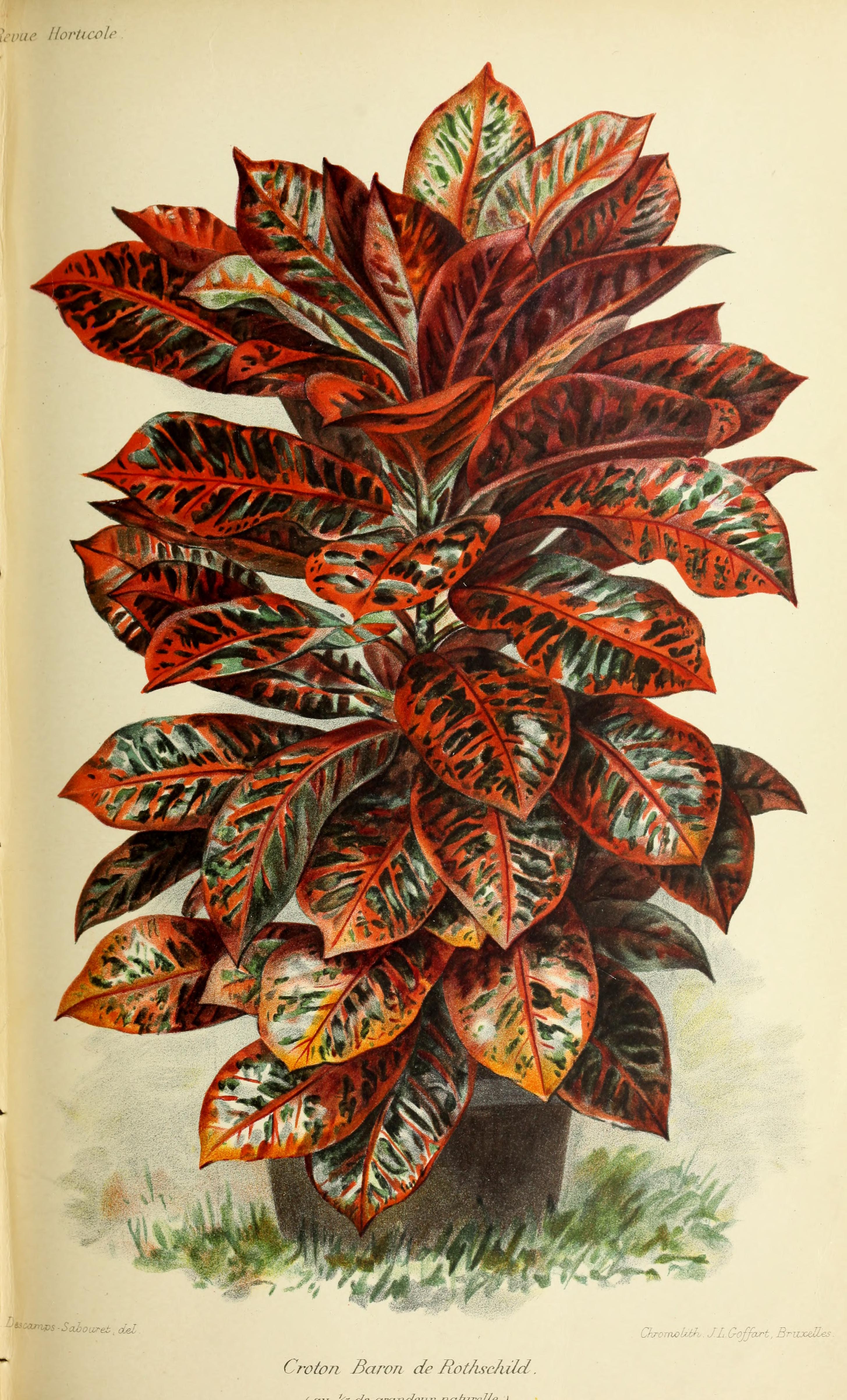 no full size  illustration available (3a)