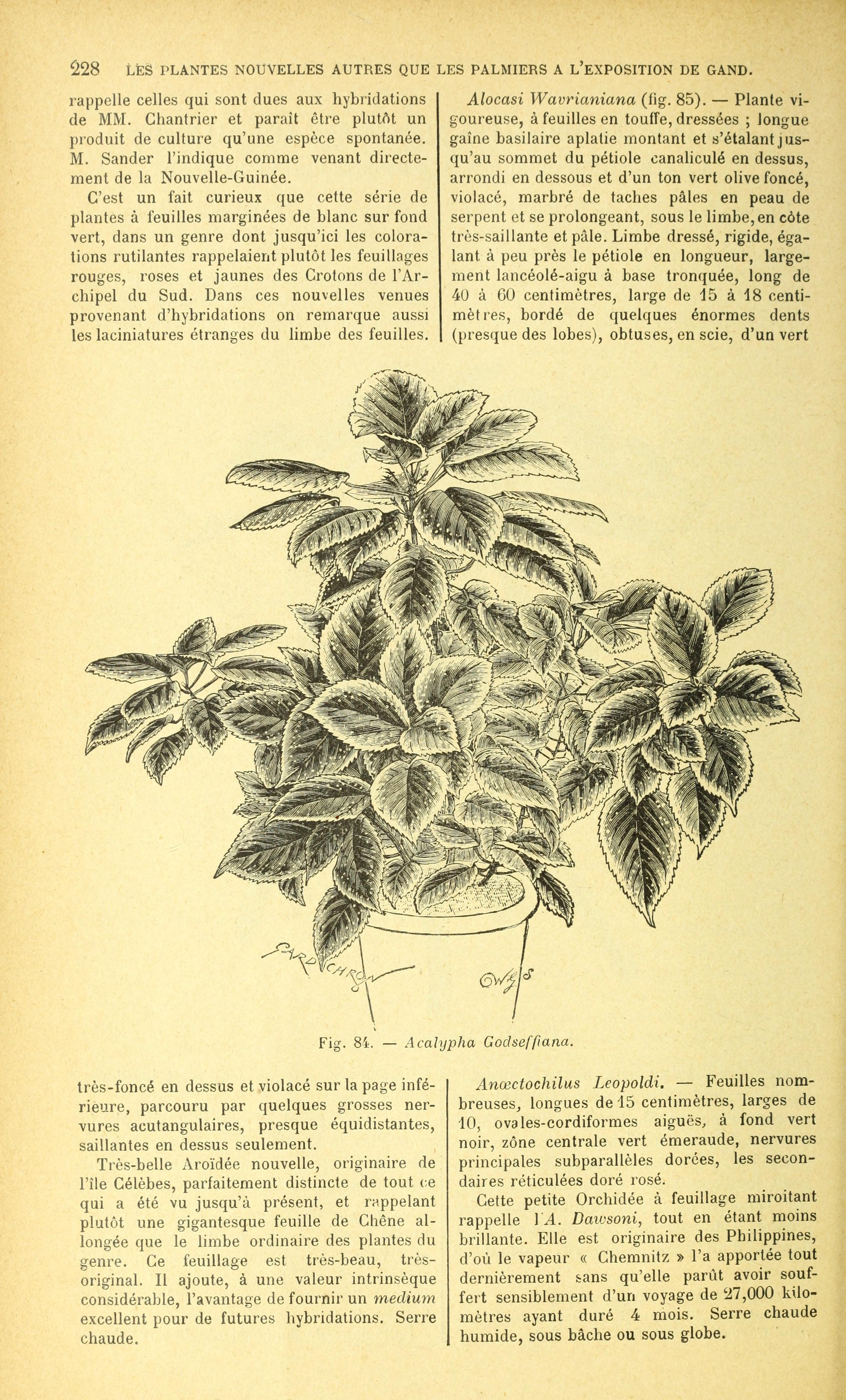 no full size  illustration available (3a)