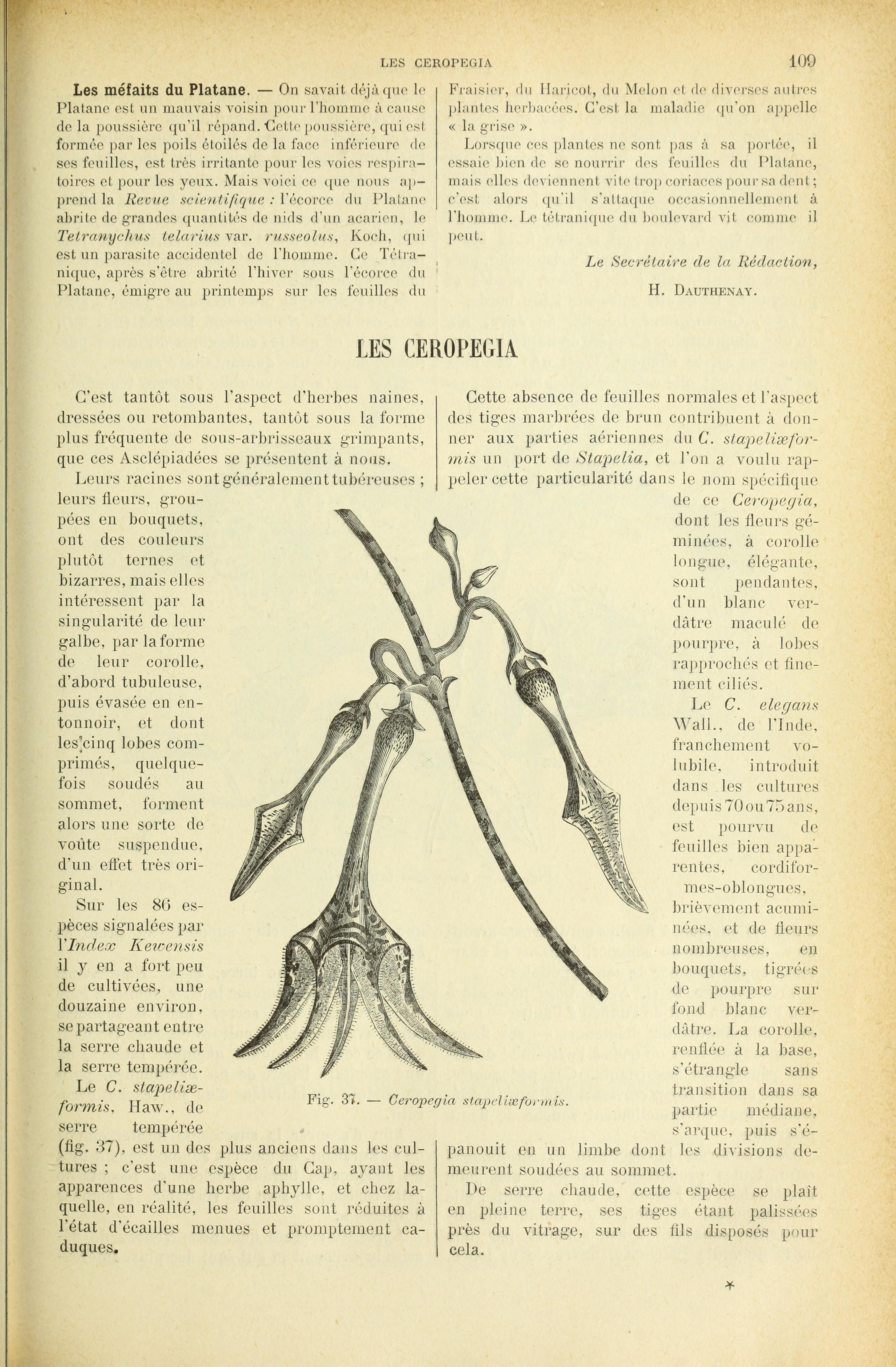 no full size  illustration available (3a)