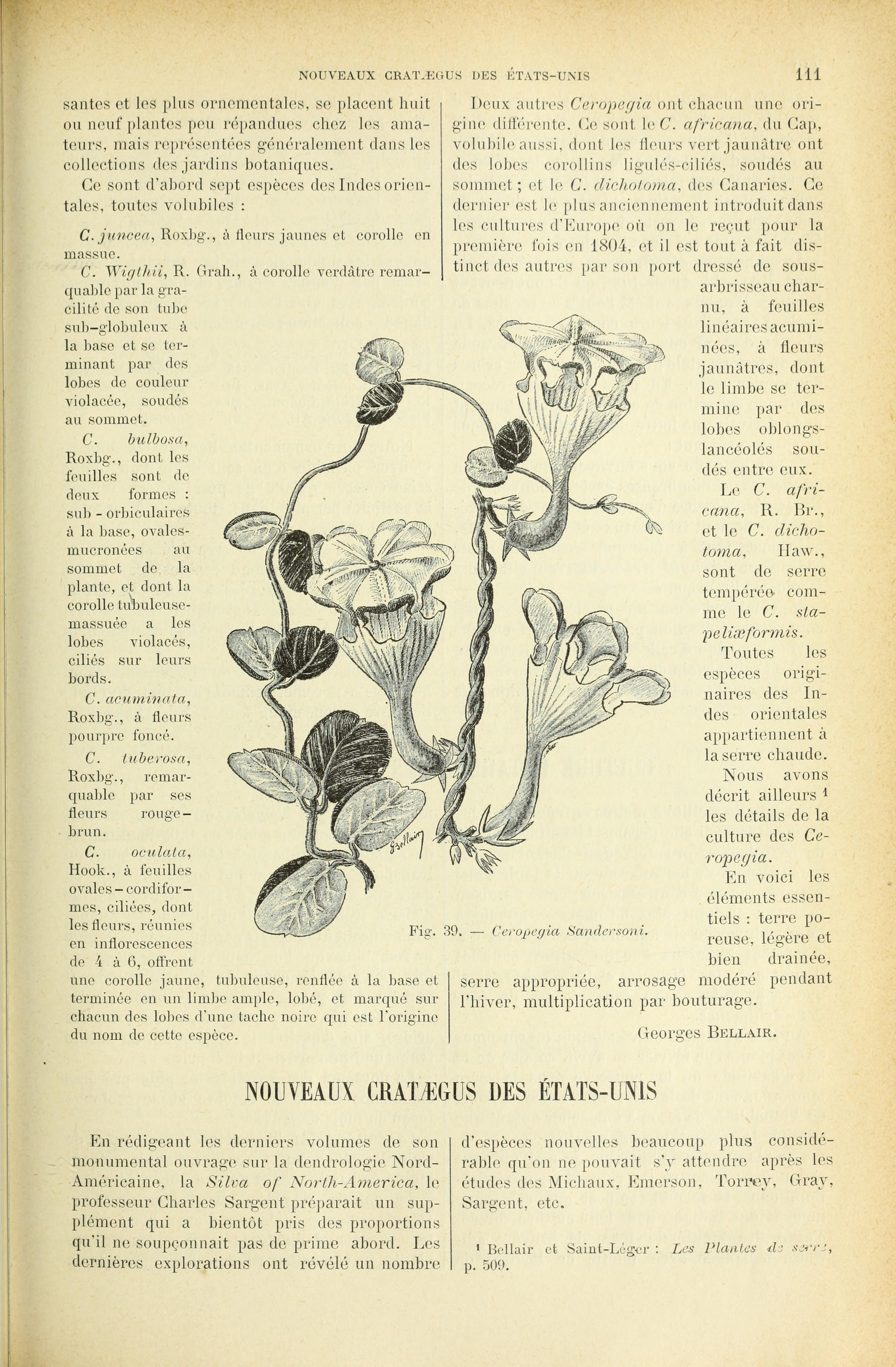 no full size  illustration available (3a)