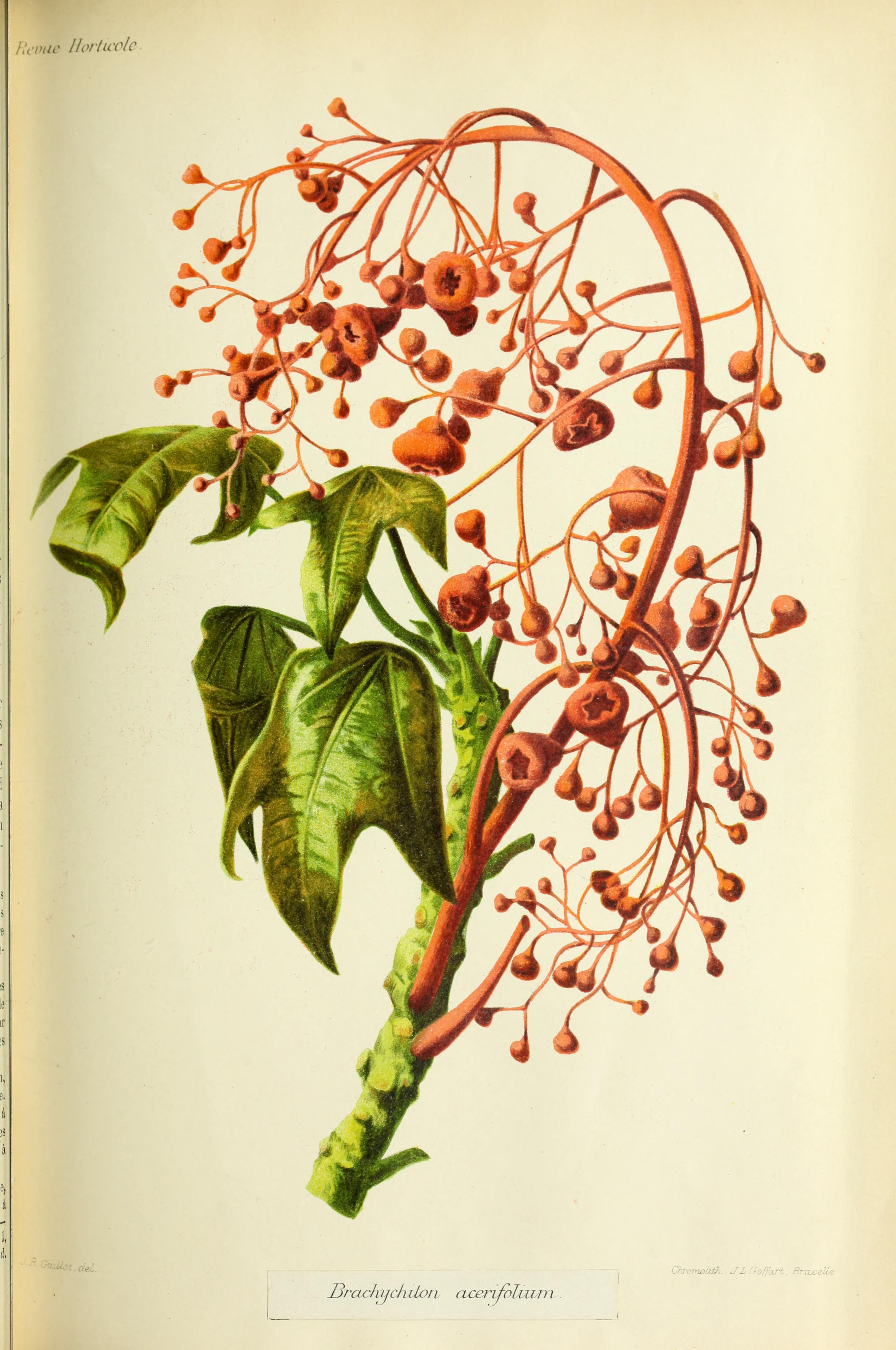 no full size  illustration available (3a)