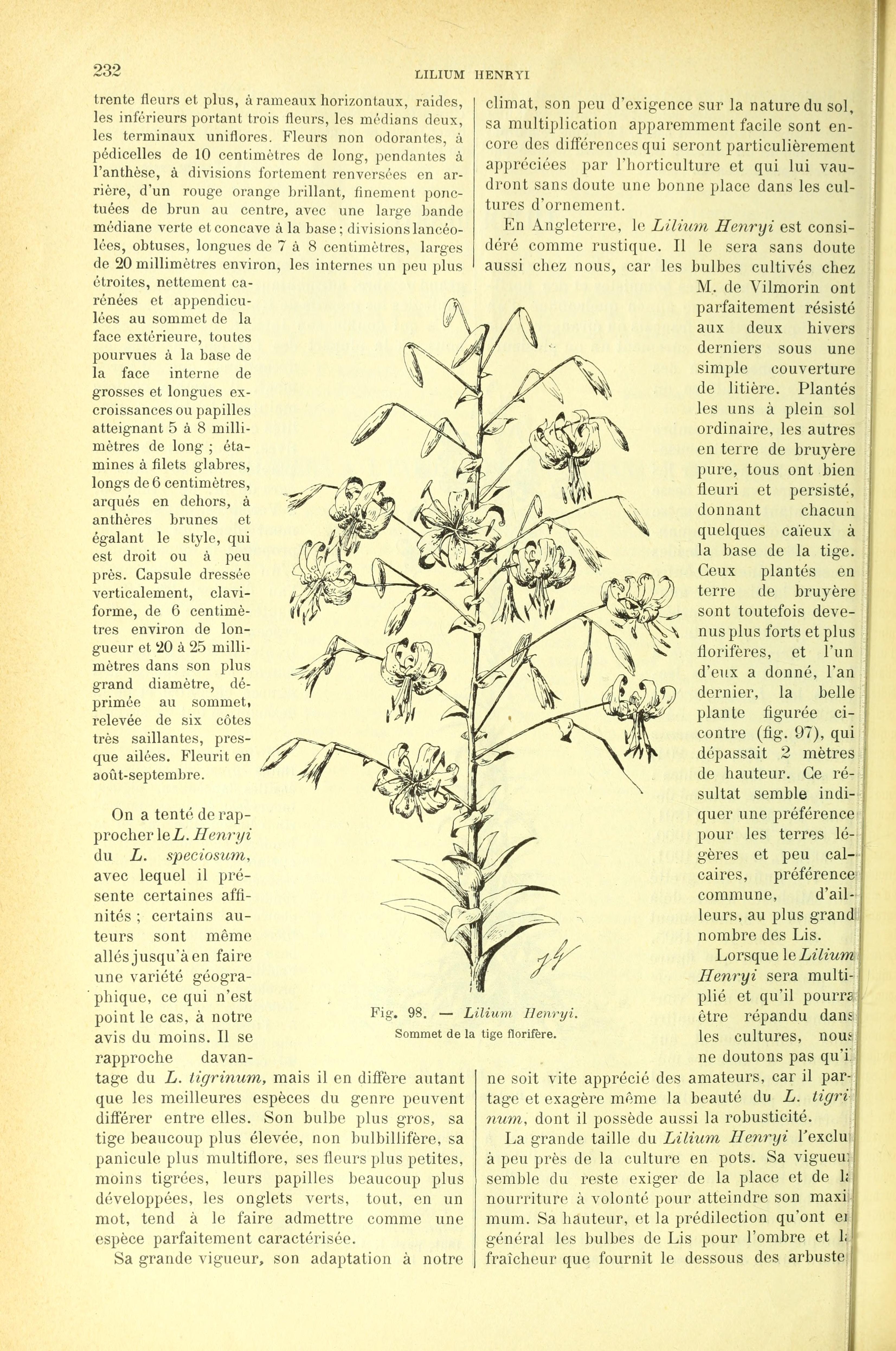 no full size  illustration available (3a)