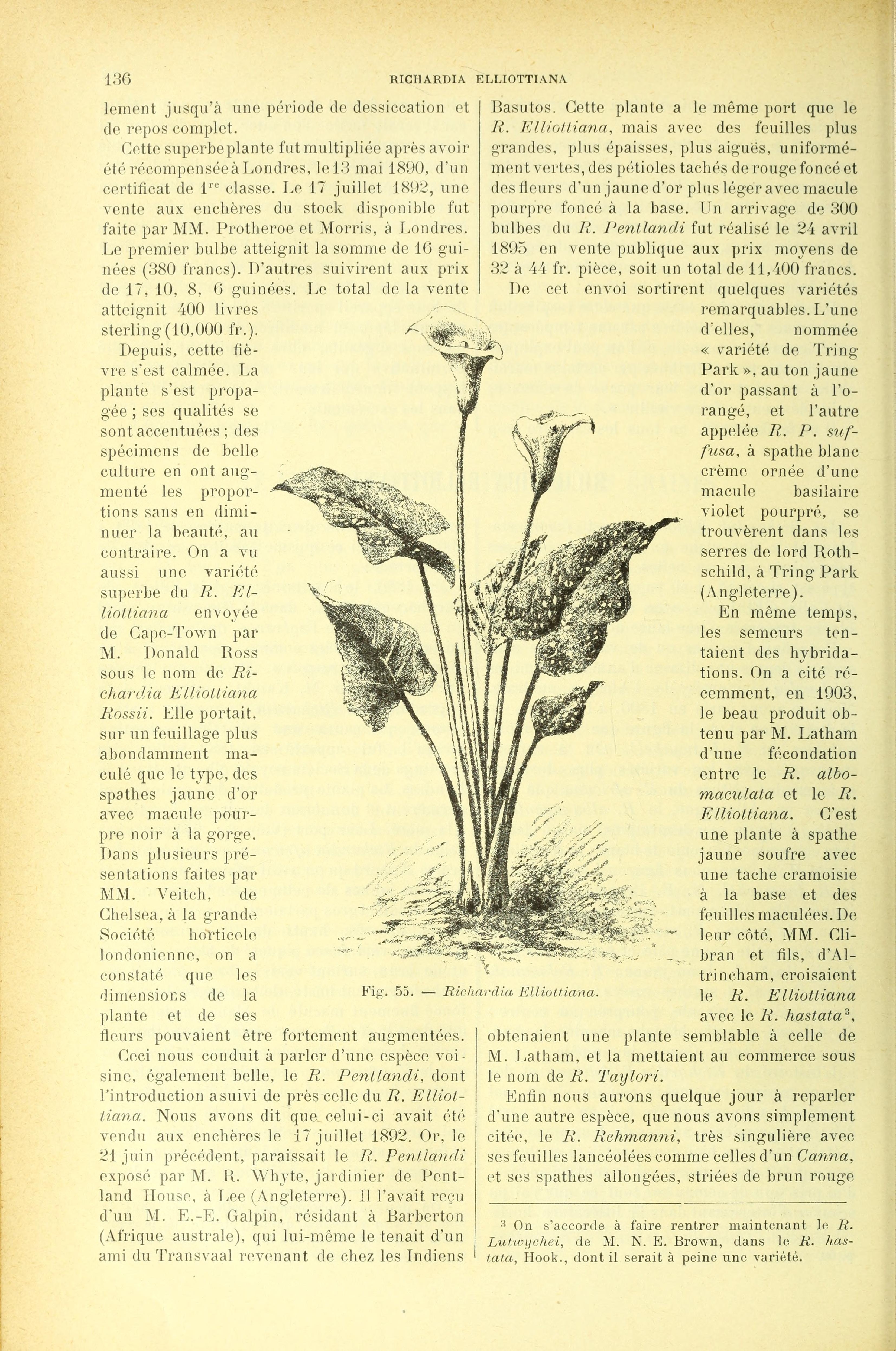 no full size  illustration available (3a)